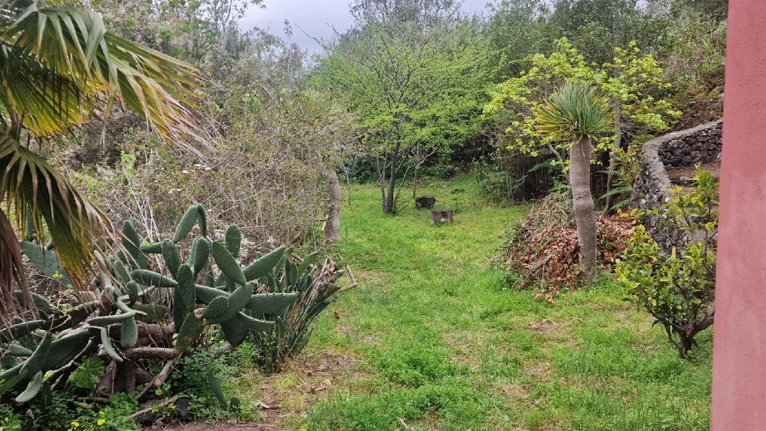 till salu hus Icod De Los Vinos Zona Norte 2