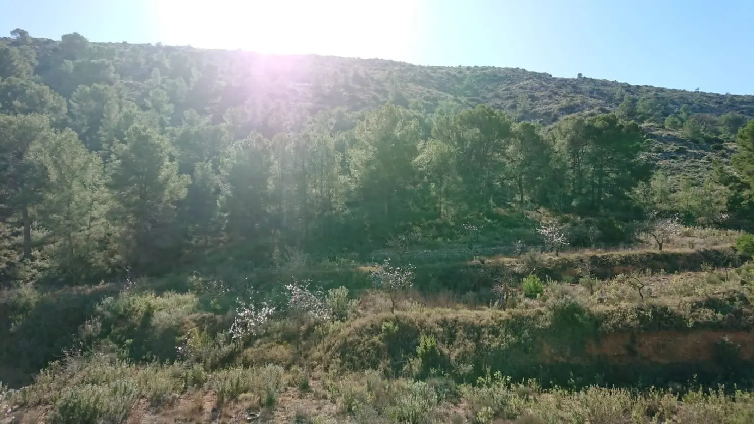  till salu hus Punta La Sierra Baix Vinalopó 1