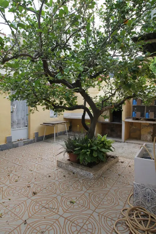 Javalí Nuevo Huerta De Murcia hus foto 6200622