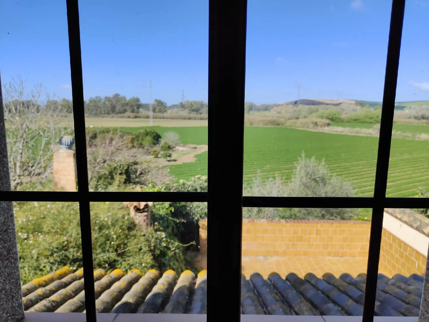  till salu hus Jedula Sierra De Cádiz 7