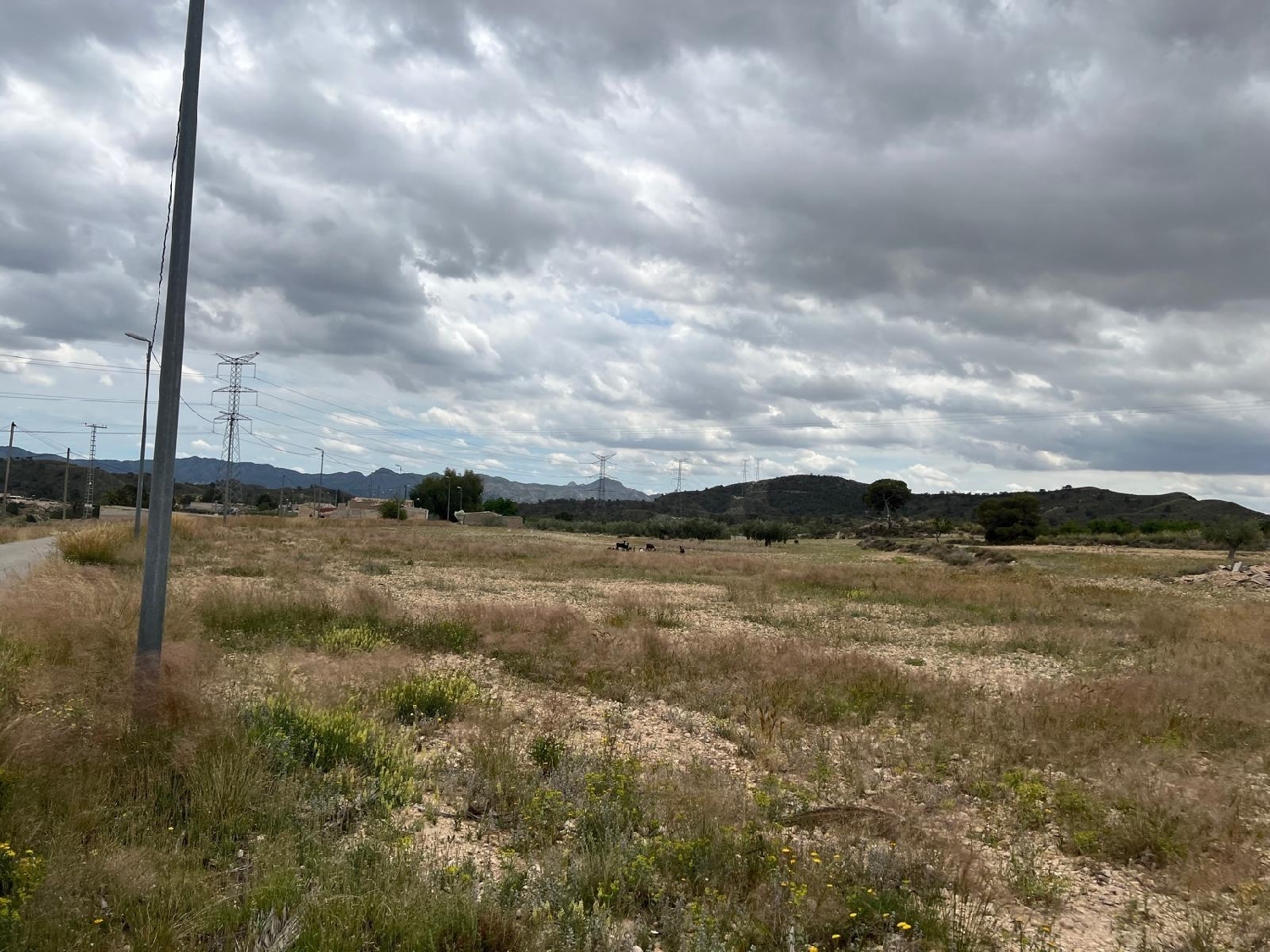 till salu hus La Almazara Huerta De Murcia 8