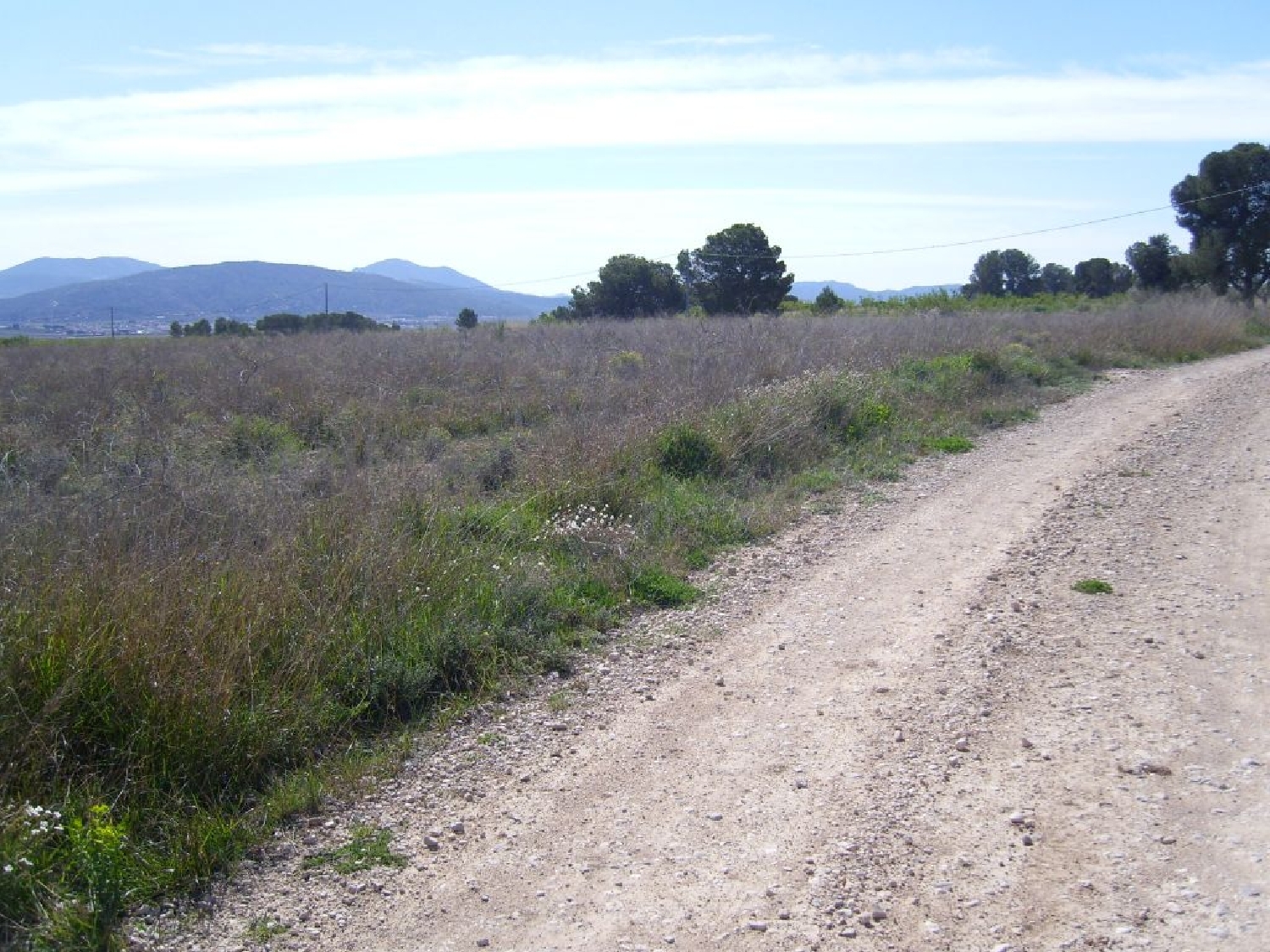  till salu hus La Caballusa Vinalopó Mitjà 6