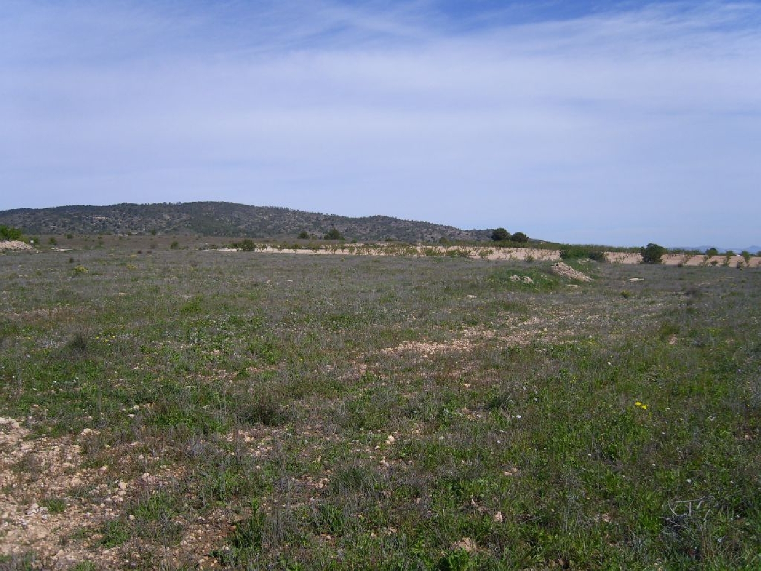 till salu hus La Caballusa Vinalopó Mitjà 2