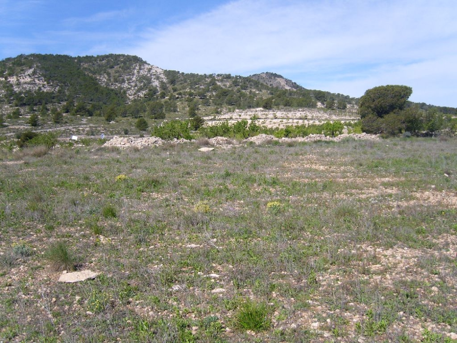  till salu hus La Caballusa Vinalopó Mitjà 1