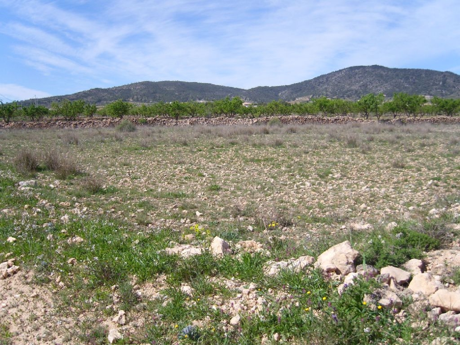  till salu hus La Caballusa Vinalopó Mitjà 8
