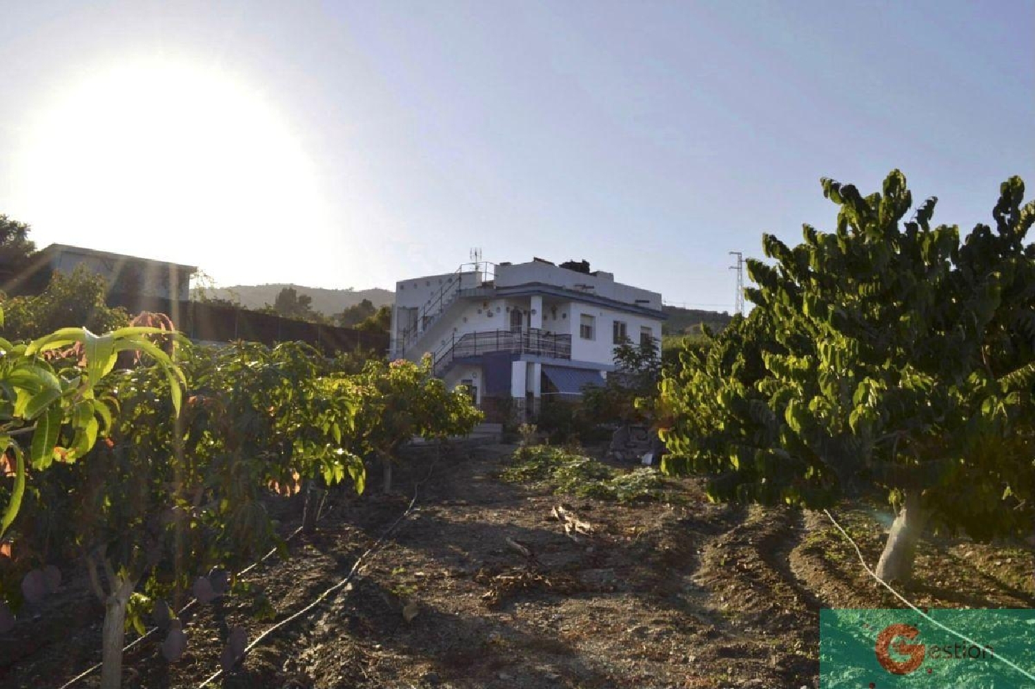 till salu hus La Caleta-Guardia Costa Tropical 3
