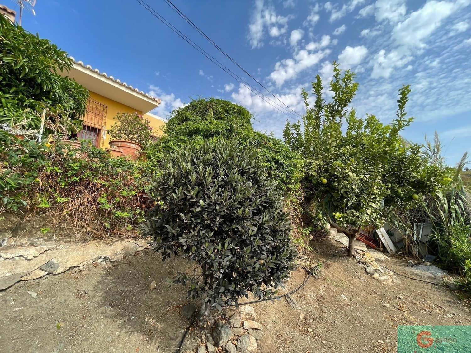  till salu hus La Caleta-Guardia Costa Tropical 5