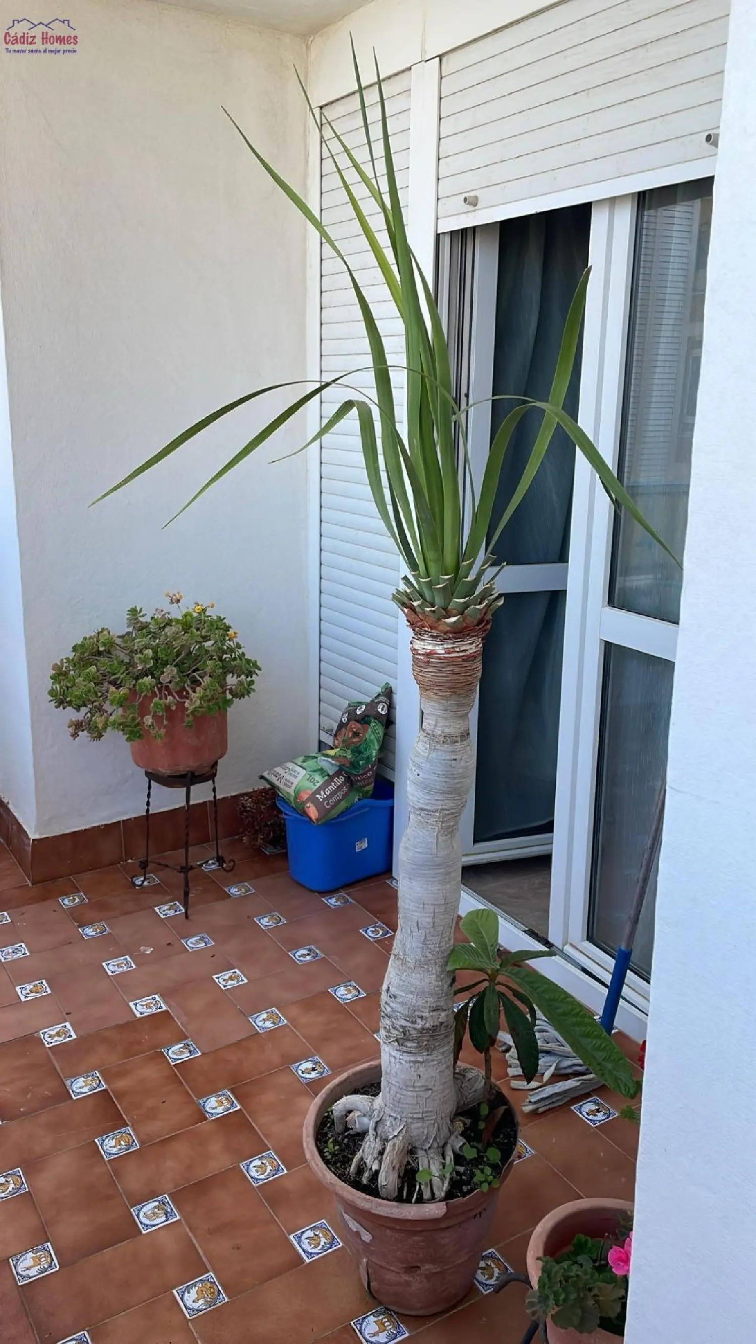  till salu hus La Caleta-La Viña Bahía De Cádiz 5