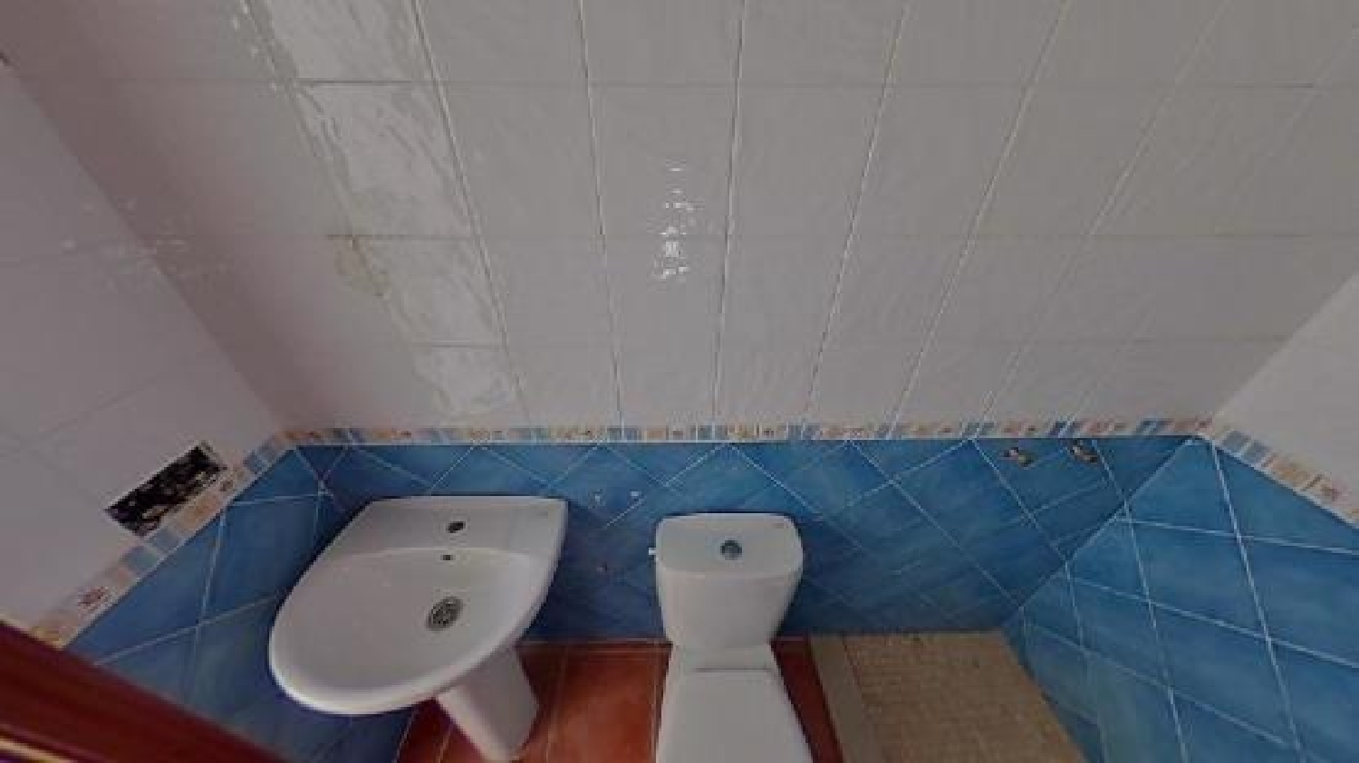  till salu hus La Campana Campiña De Carmona 6