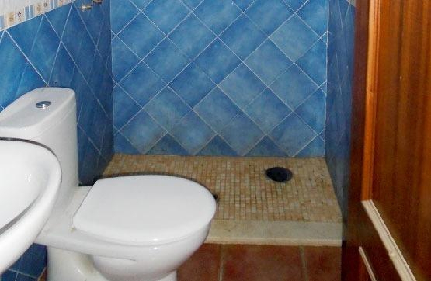 till salu hus La Campana Campiña De Carmona 3