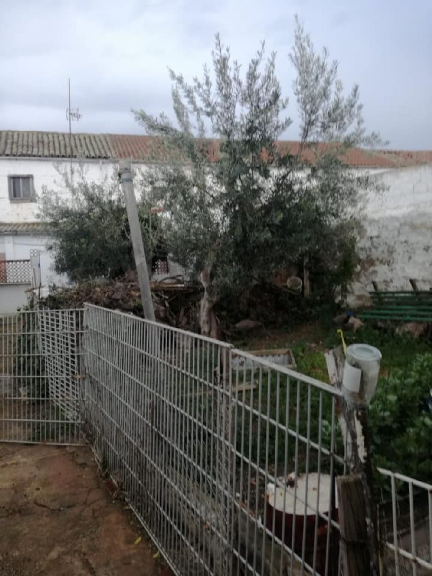  till salu hus La Cardenchosa Valle Del Guadiato 5