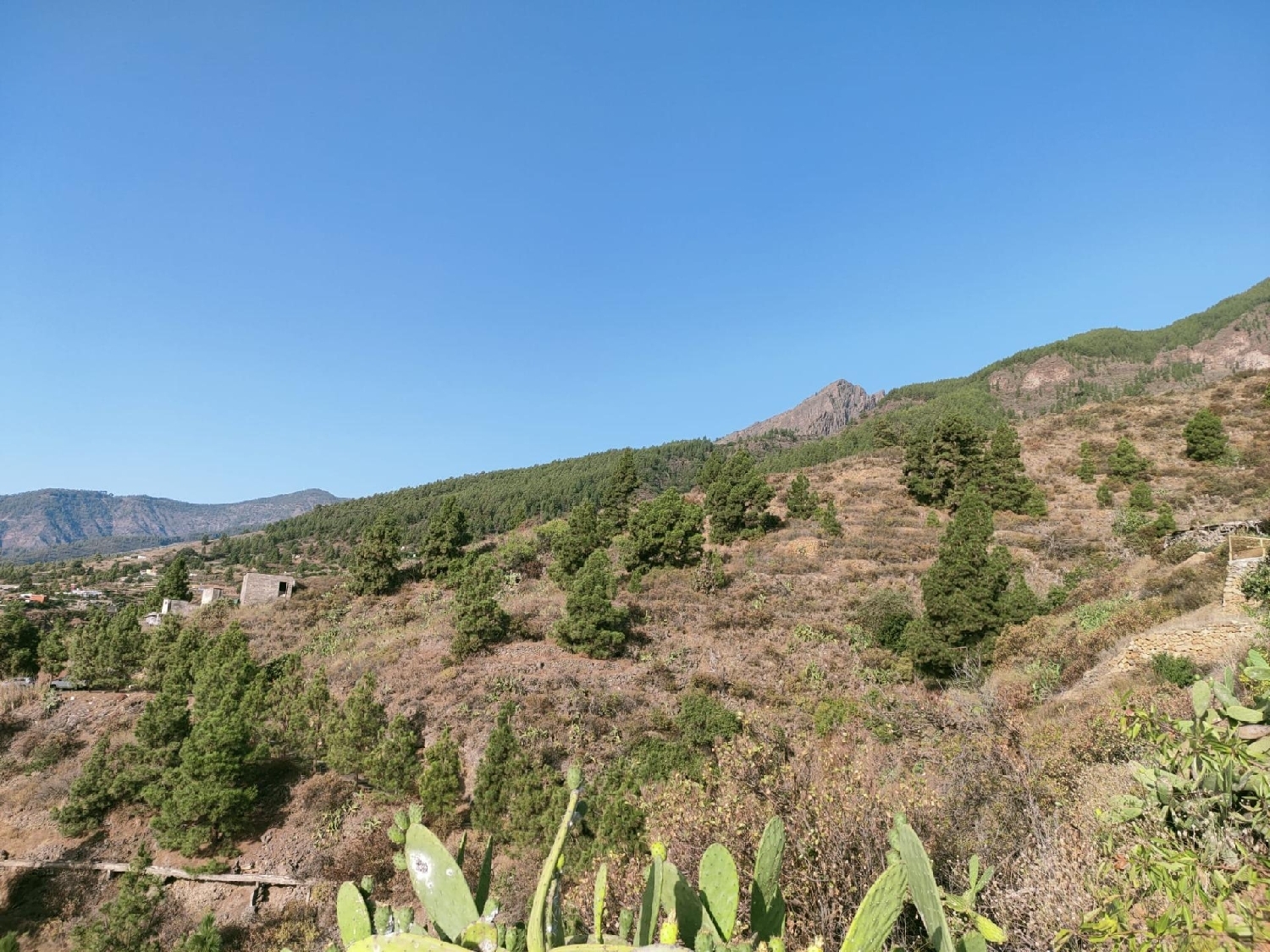  till salu hus La Hidalga Zona Sureste 5