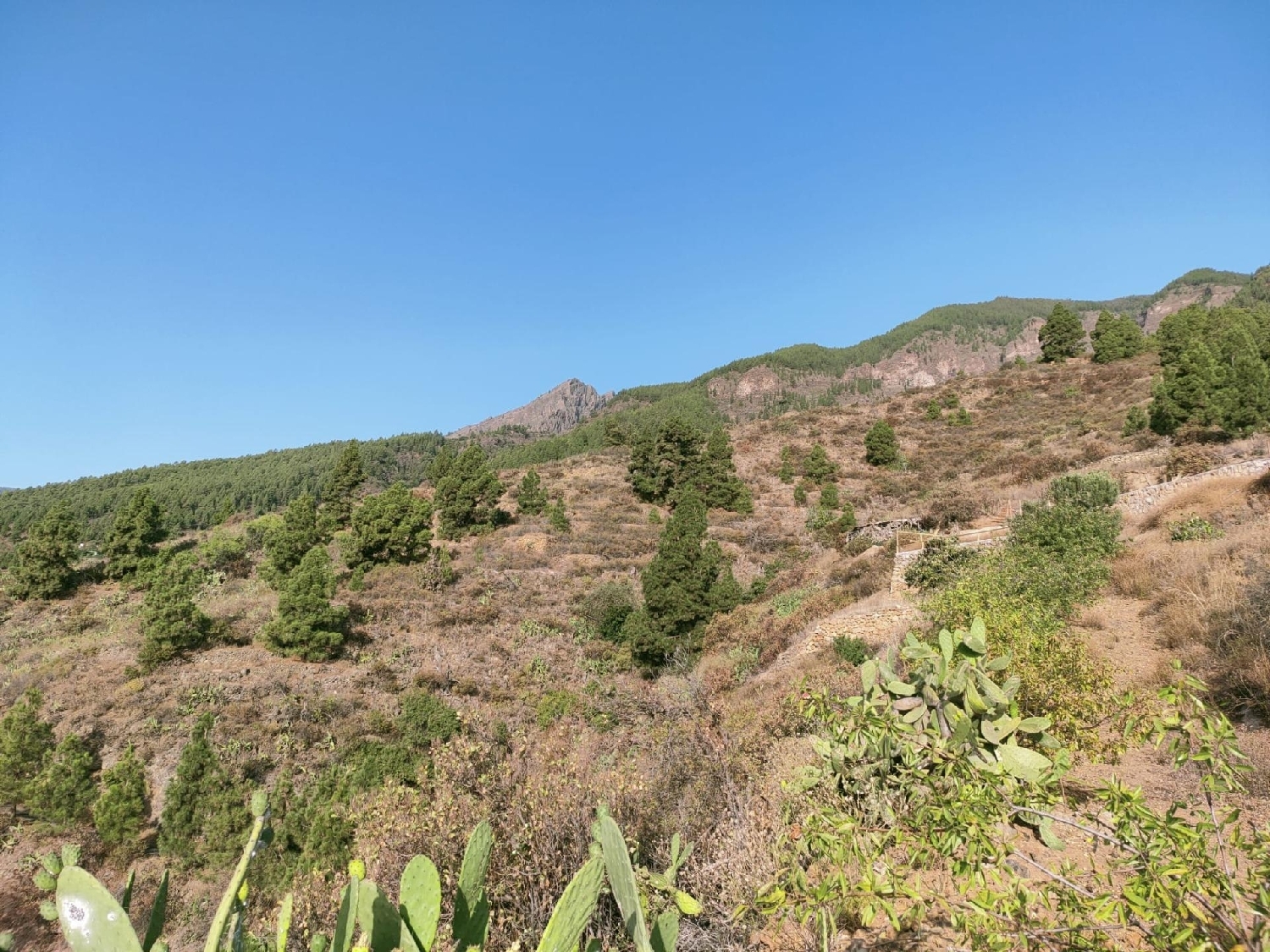  till salu hus La Hidalga Zona Sureste 4