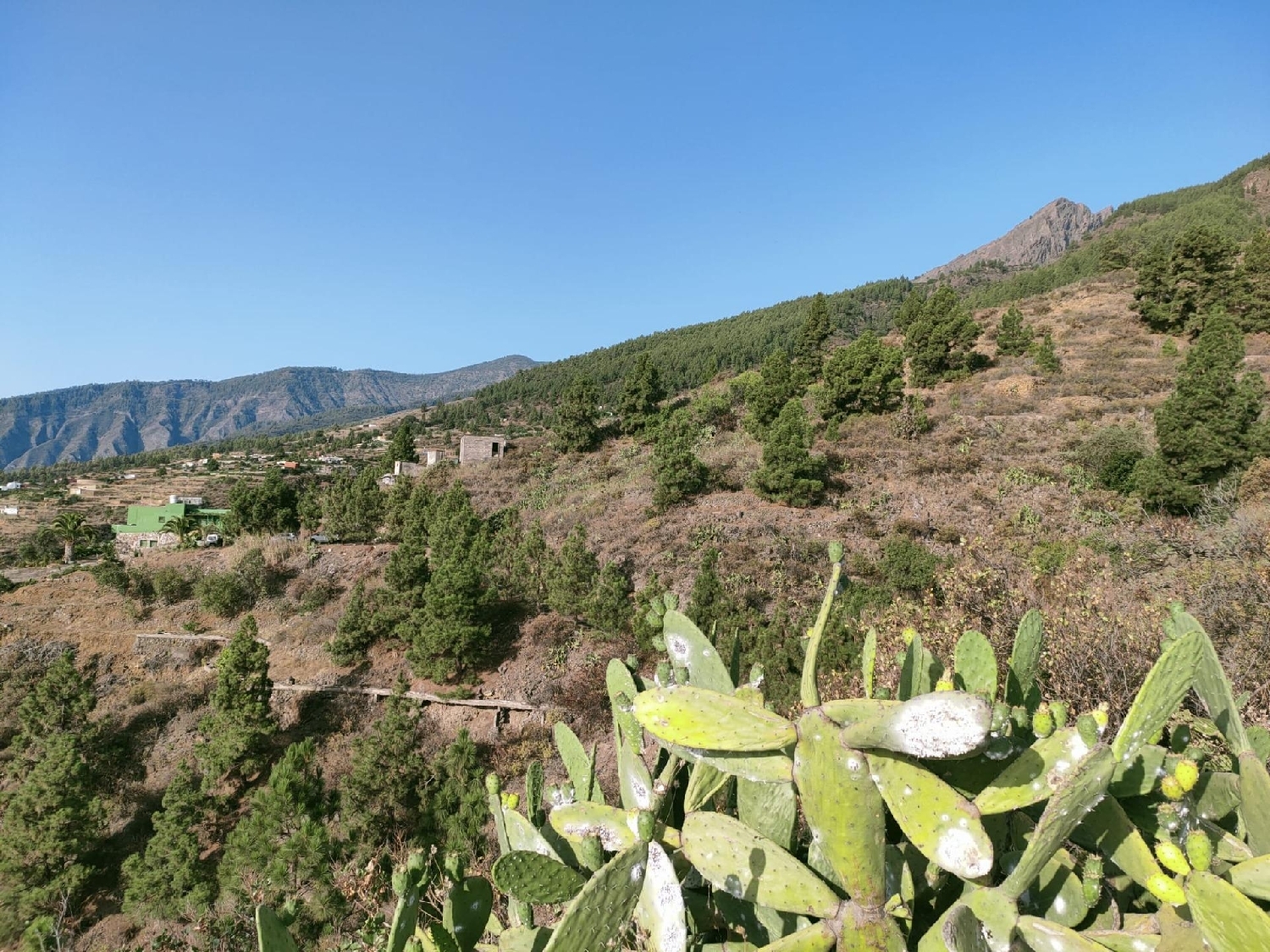 till salu hus La Hidalga Zona Sureste 3