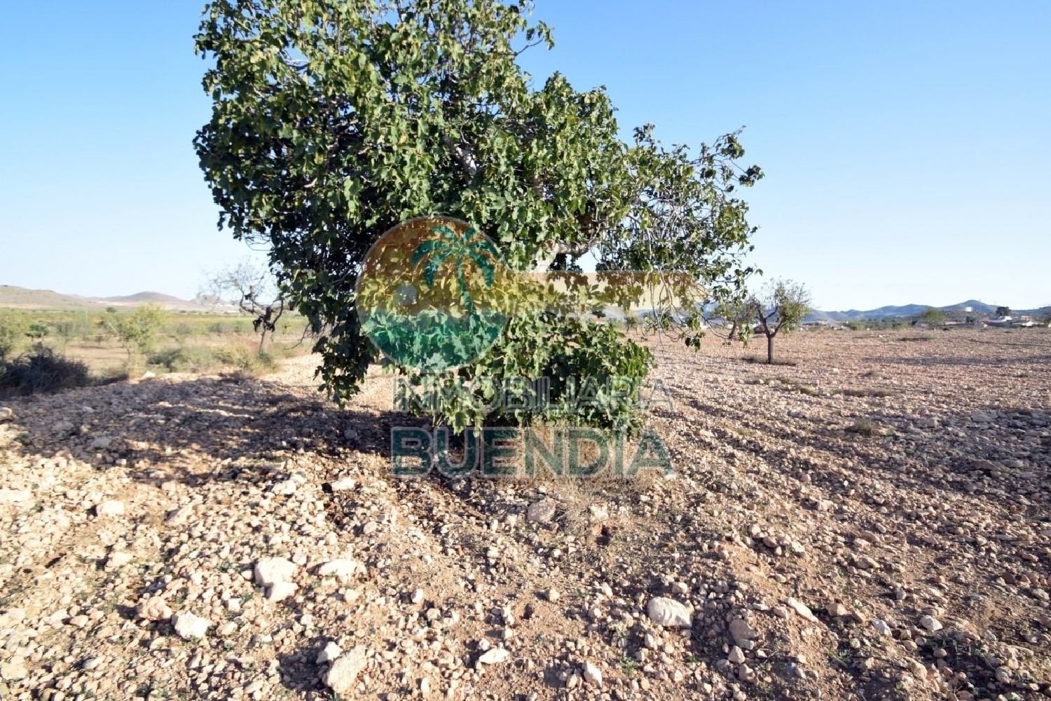  till salu hus La Manchica Campo De Cartagena 8
