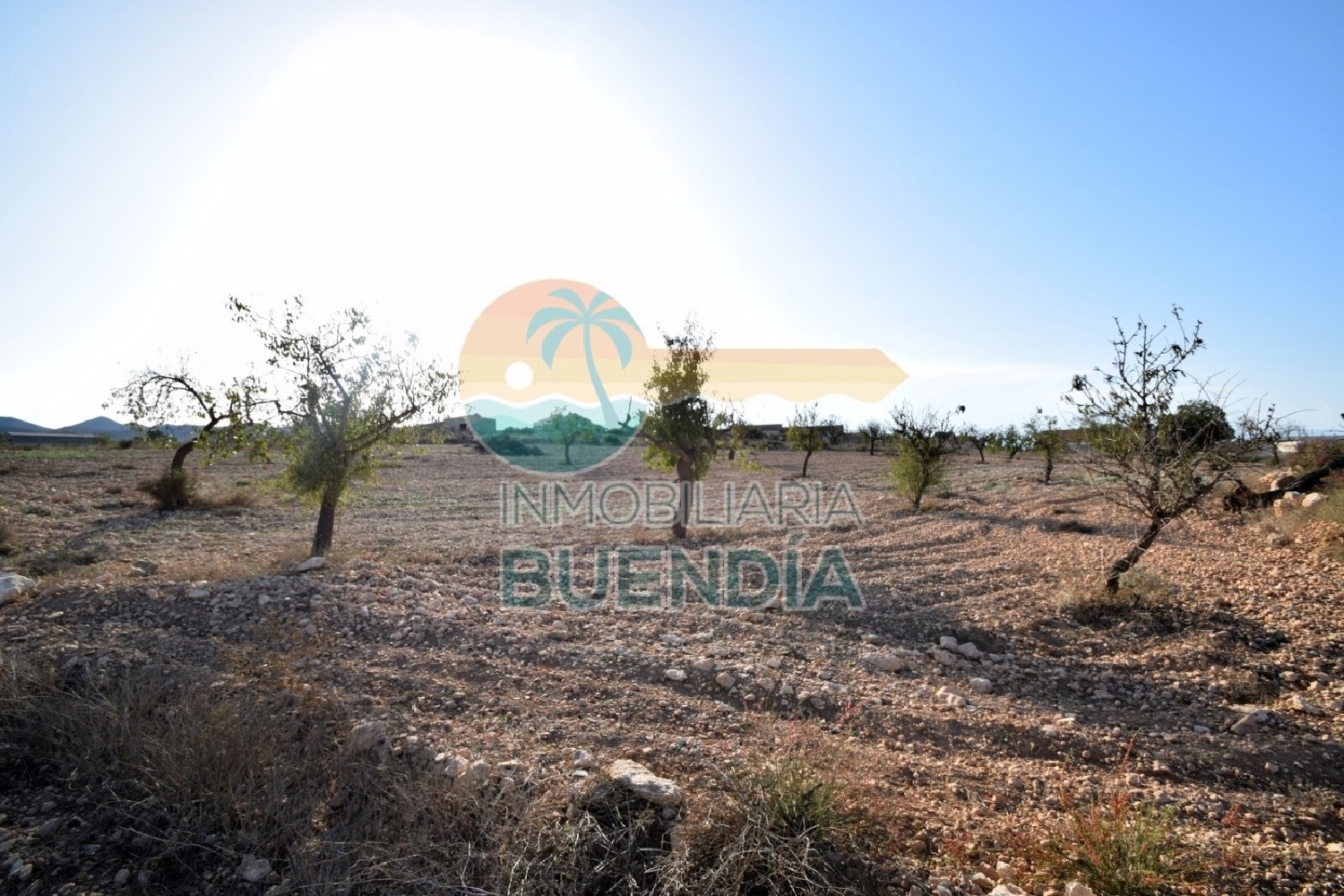  till salu hus La Manchica Campo De Cartagena 5