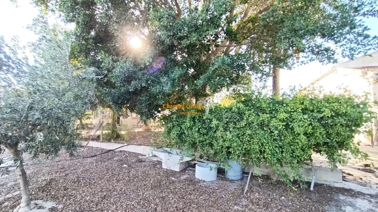  till salu hus La Marina Baix Vinalopó 3