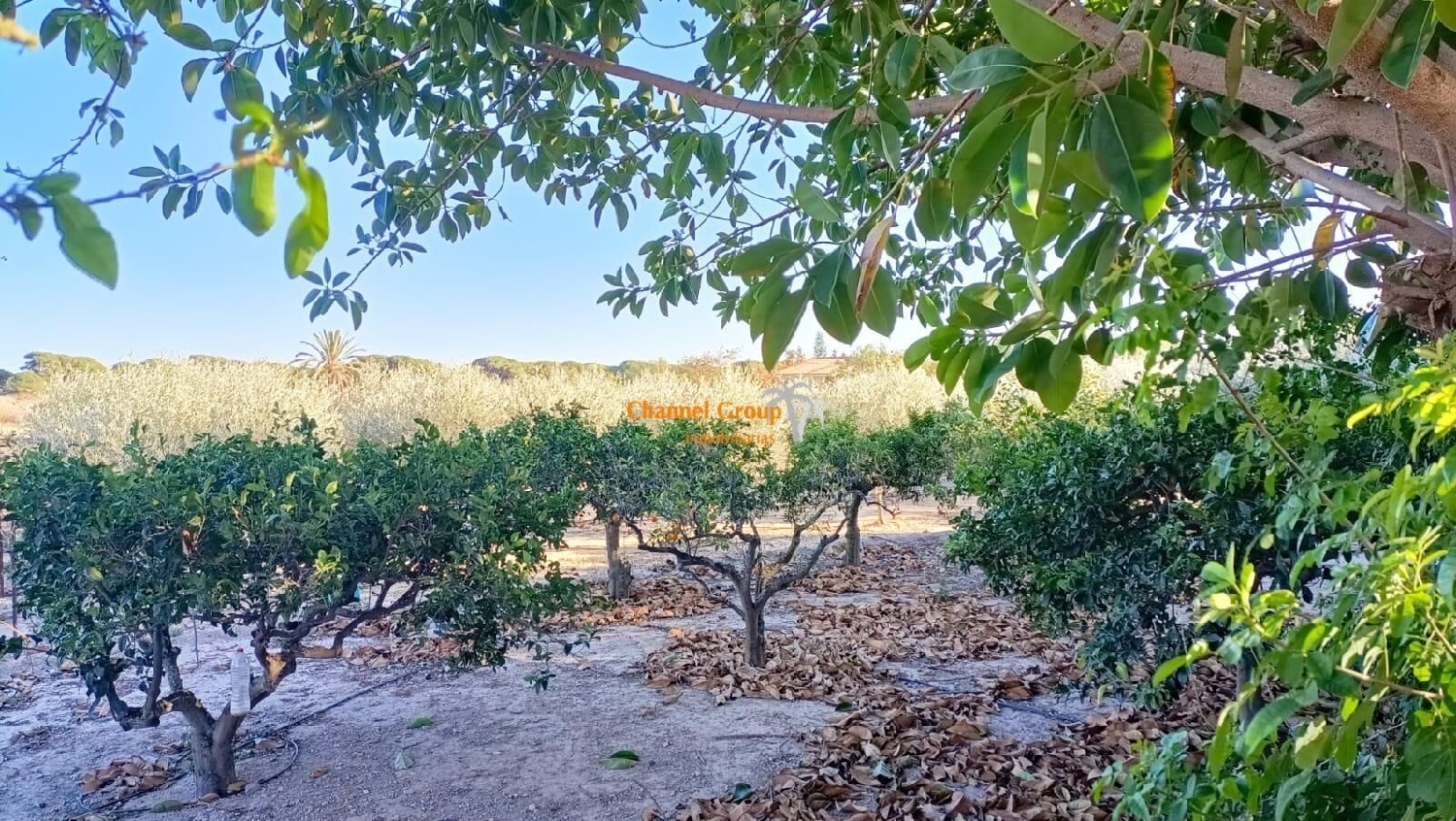  till salu hus La Marina Baix Vinalopó 4