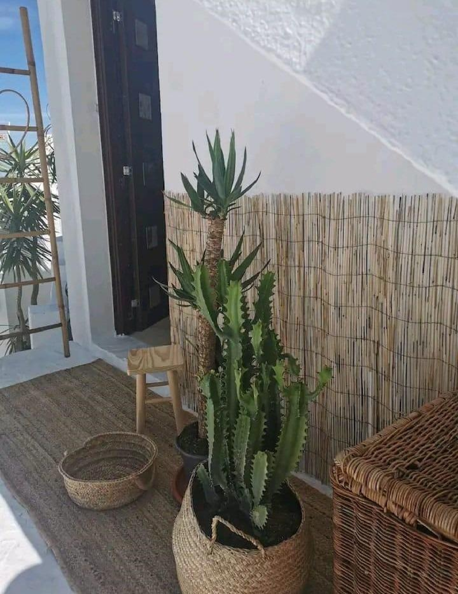  till salu hus La Muela Janda (La) 5