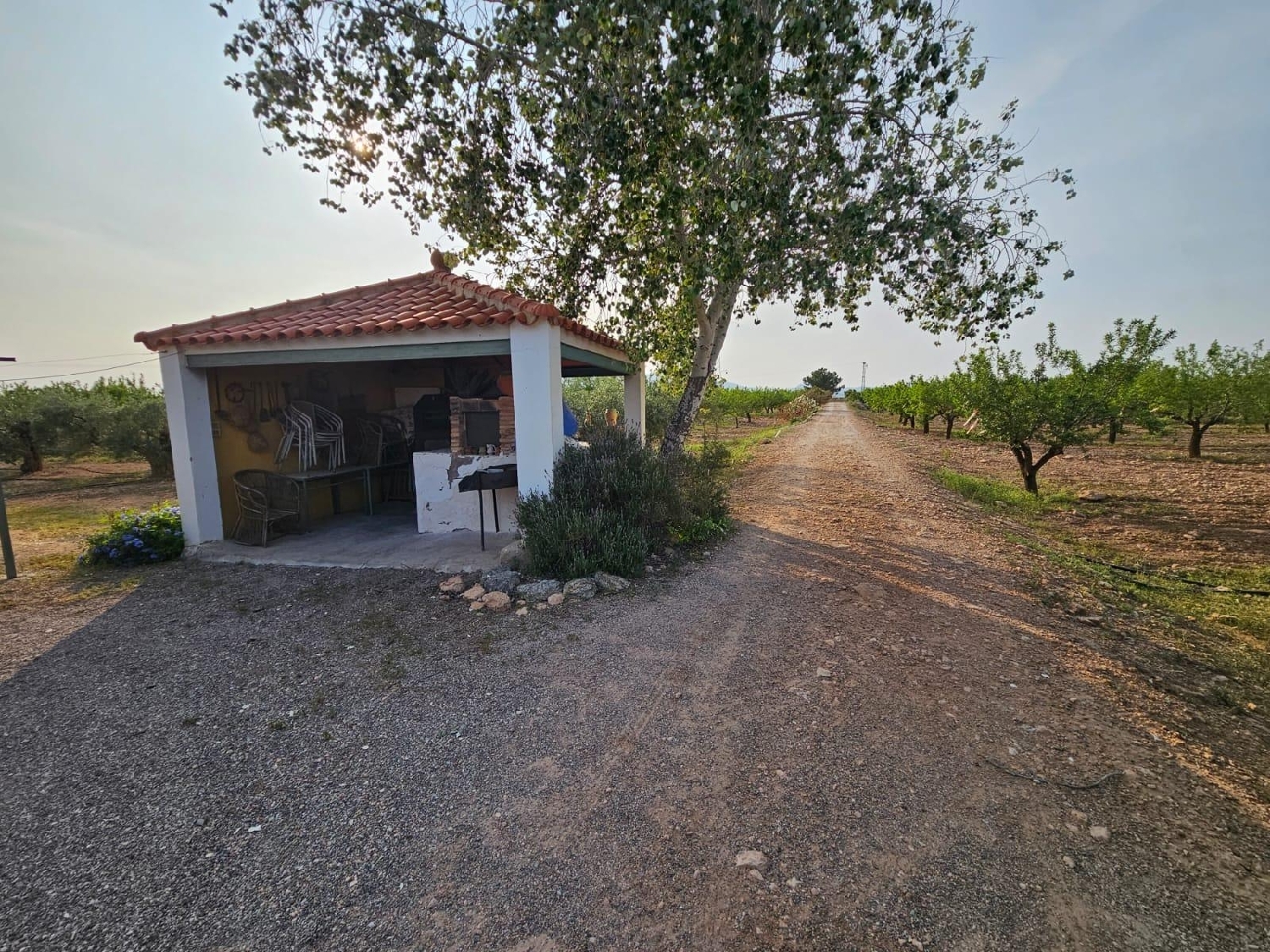  till salu hus La Murta Huerta De Murcia 8