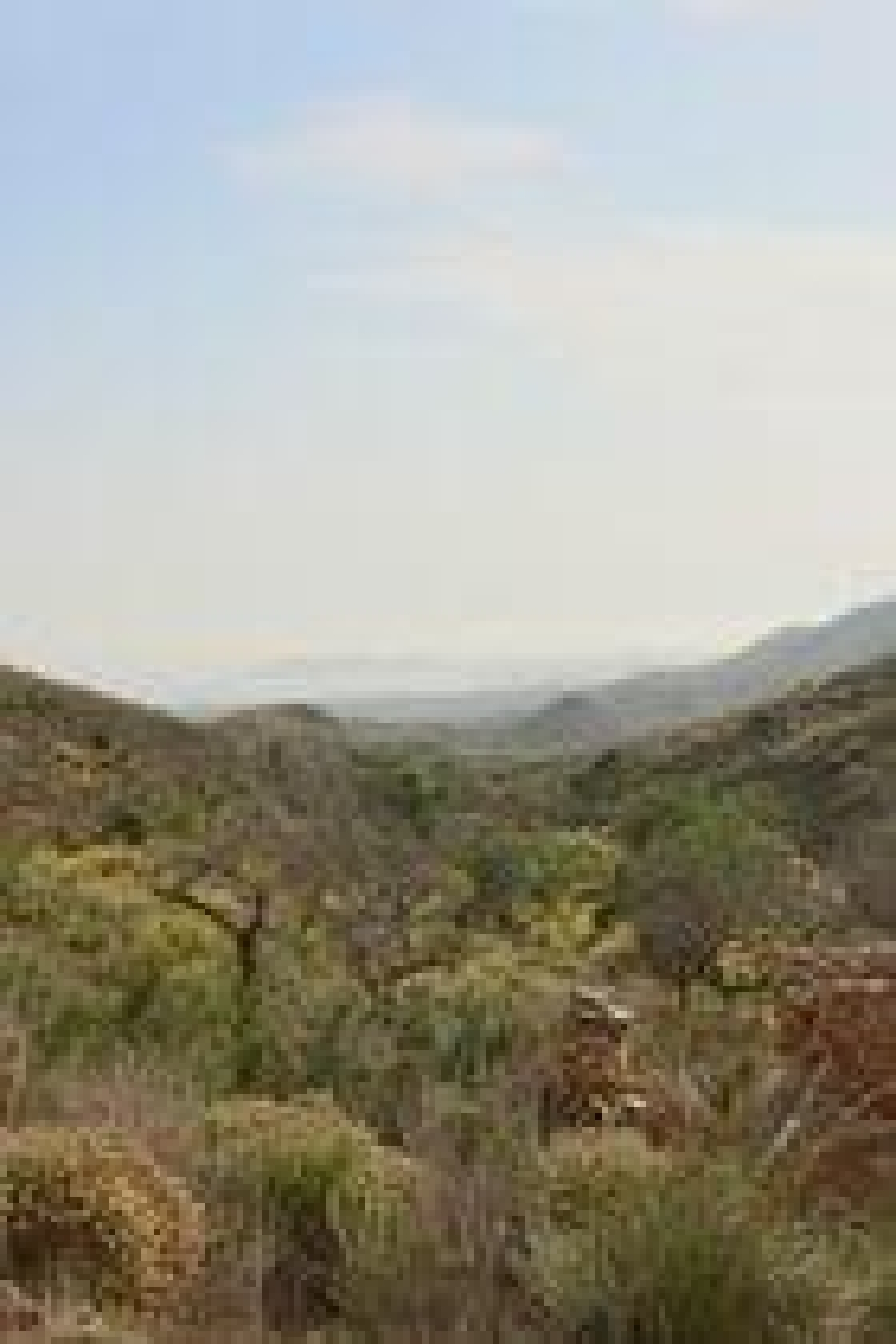  till salu hus La Pinilla Campo De Cartagena 1