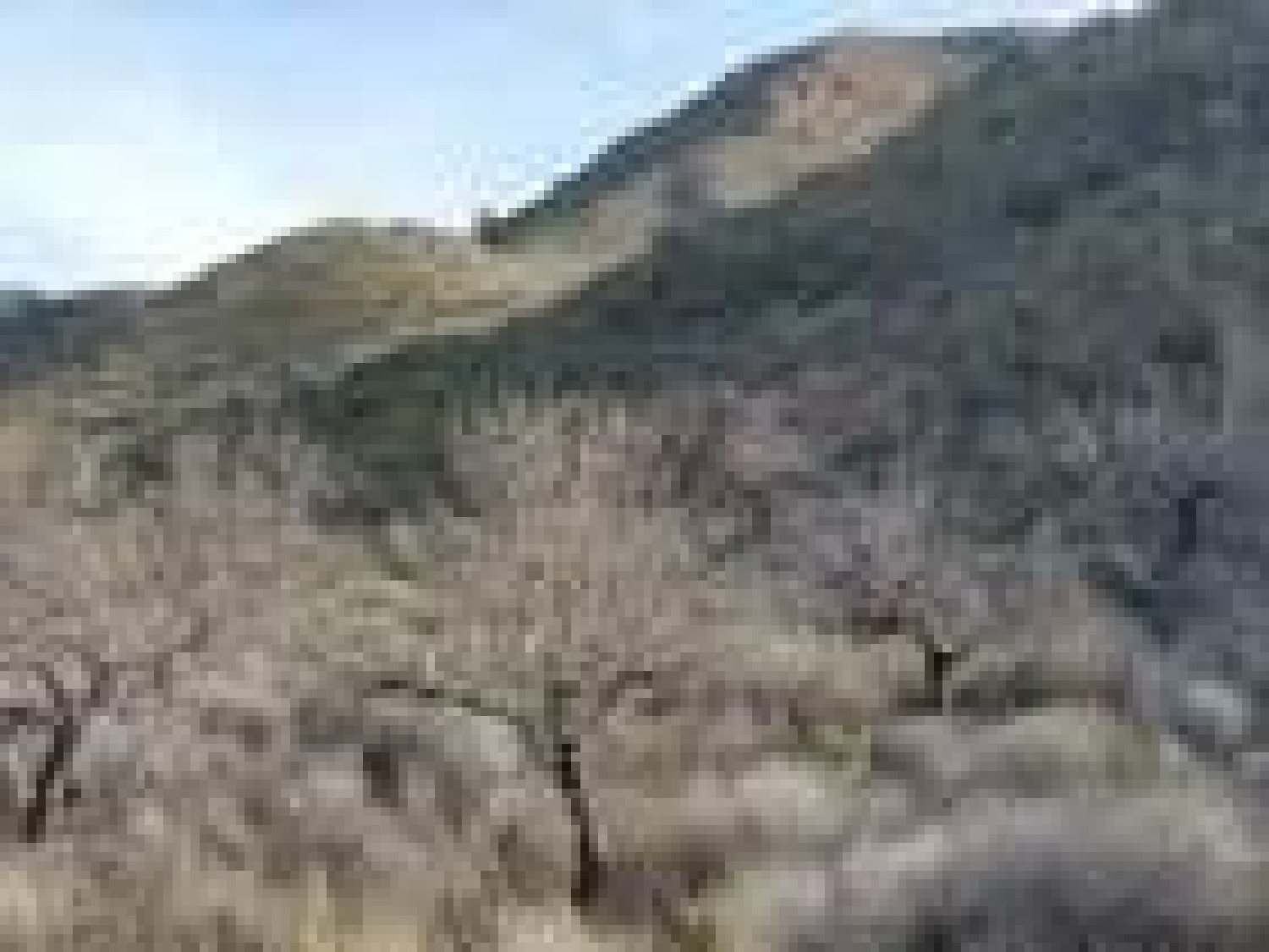  till salu hus La Pinilla Campo De Cartagena 8