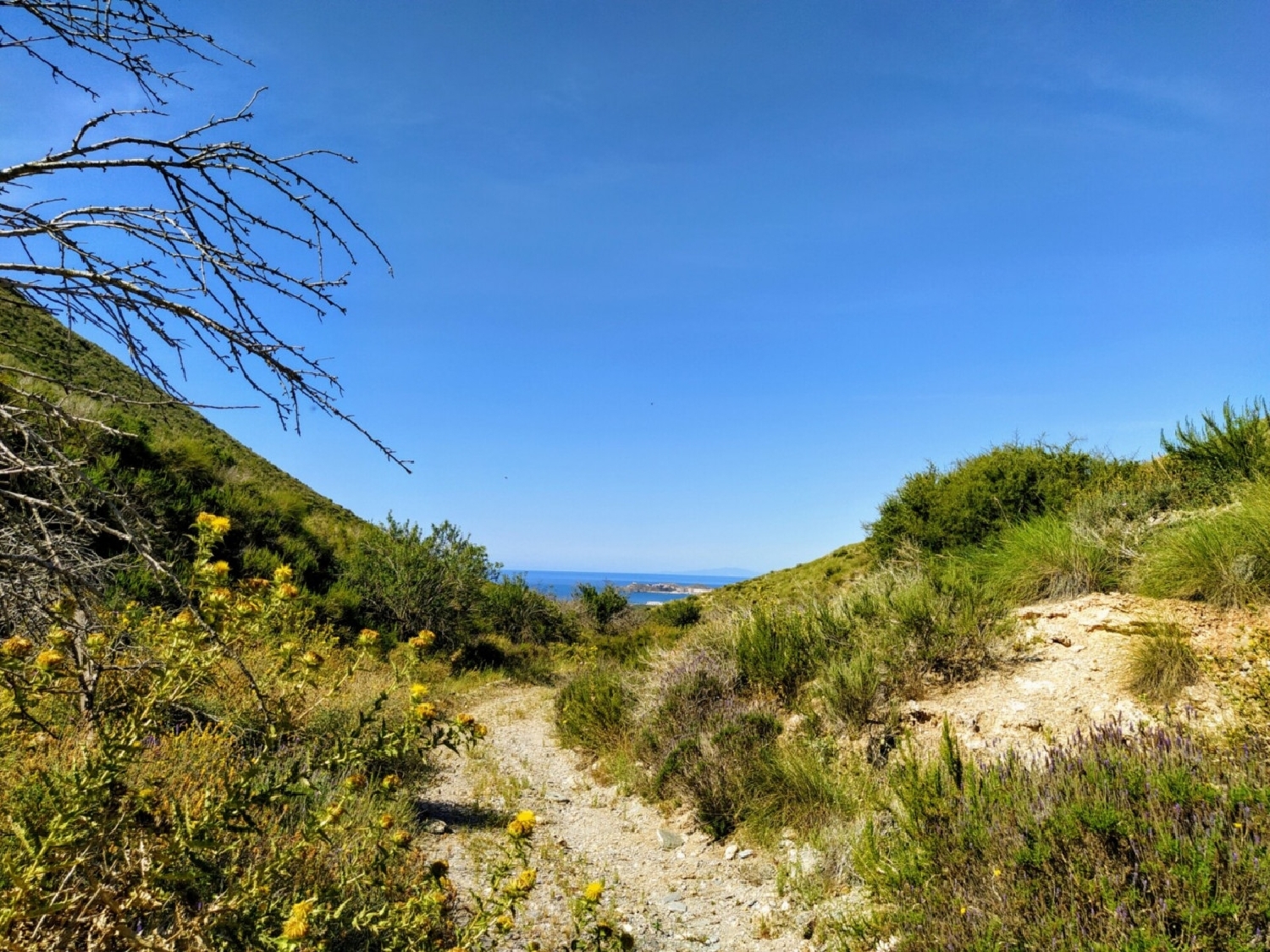  till salu hus La Pinilla Campo De Cartagena 6