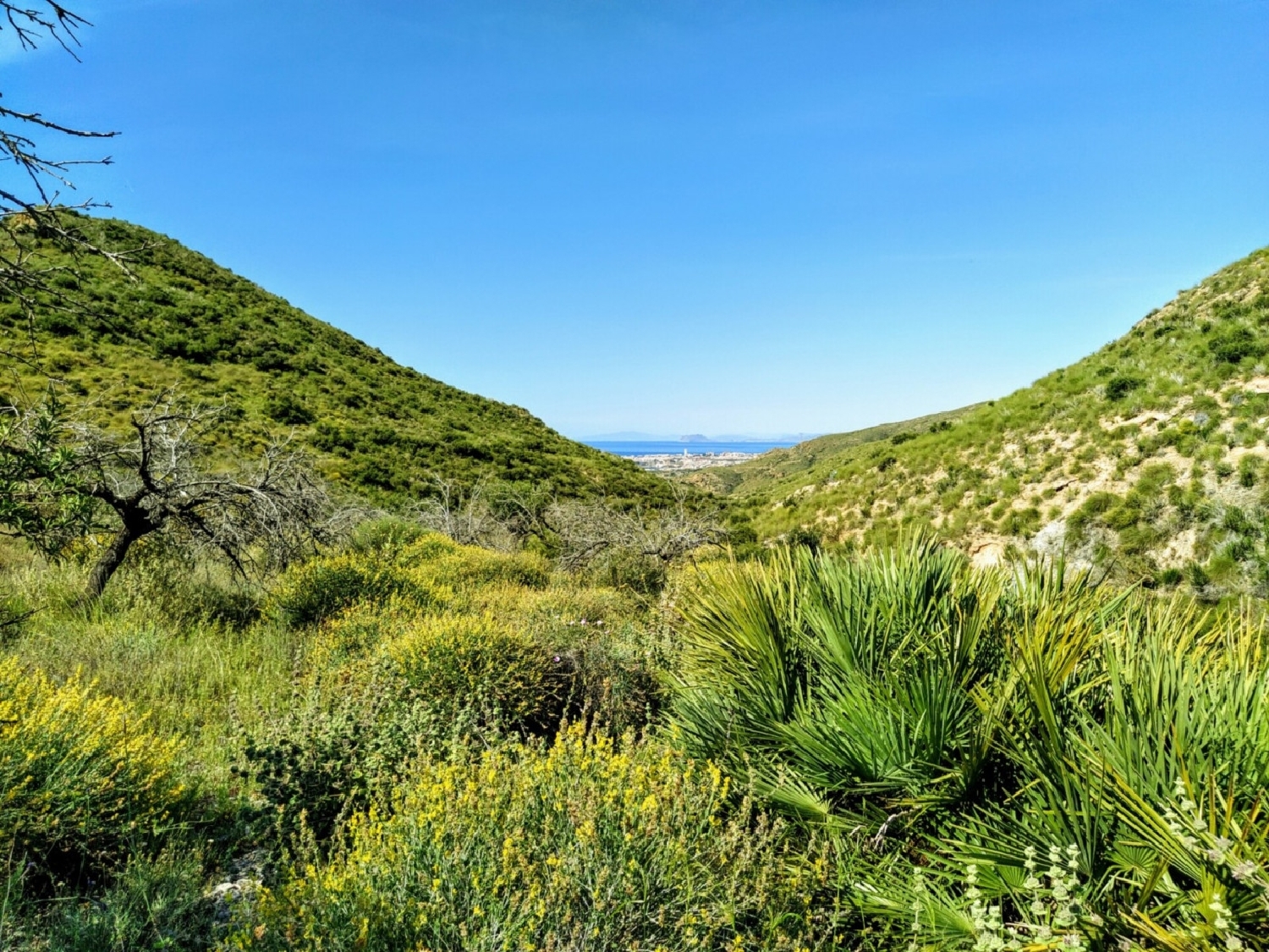  till salu hus La Pinilla Campo De Cartagena 5