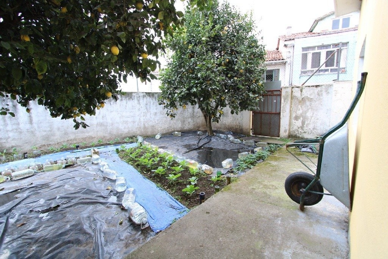  till salu hus La Puente Costa Occidental 5