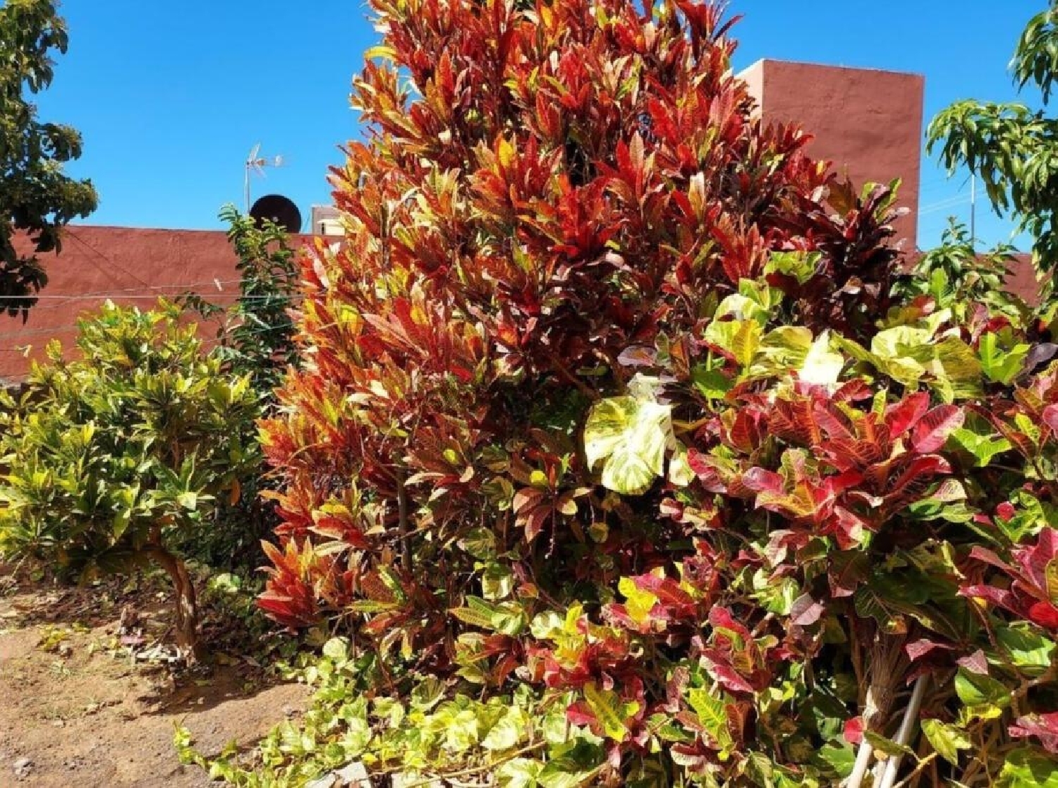  till salu hus La Puntilla Gomera (La) 6