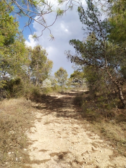 La Romana Vinalopó Mitjà hus foto 6227160