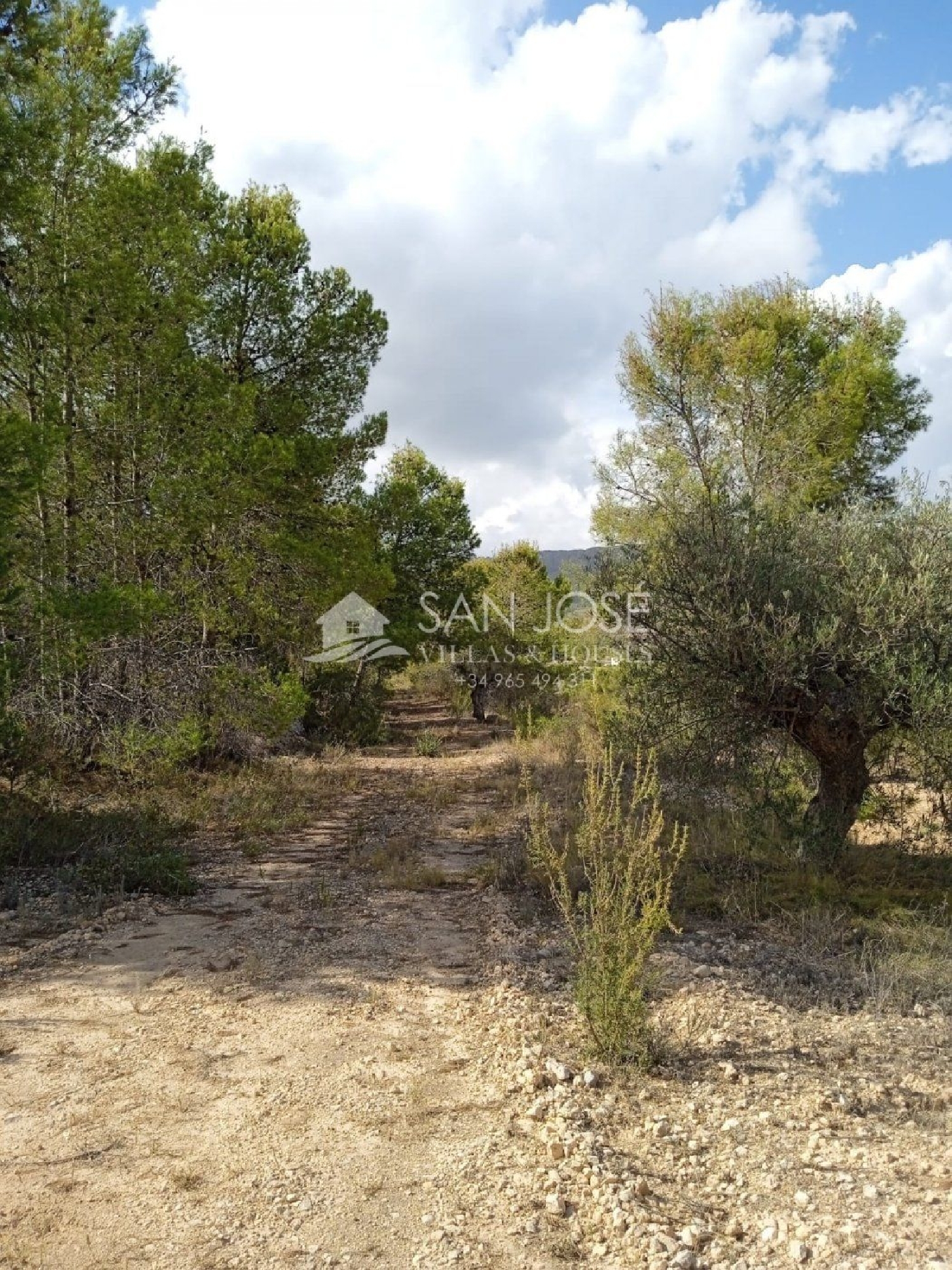 till salu hus La Romana Vinalopó Mitjà 3