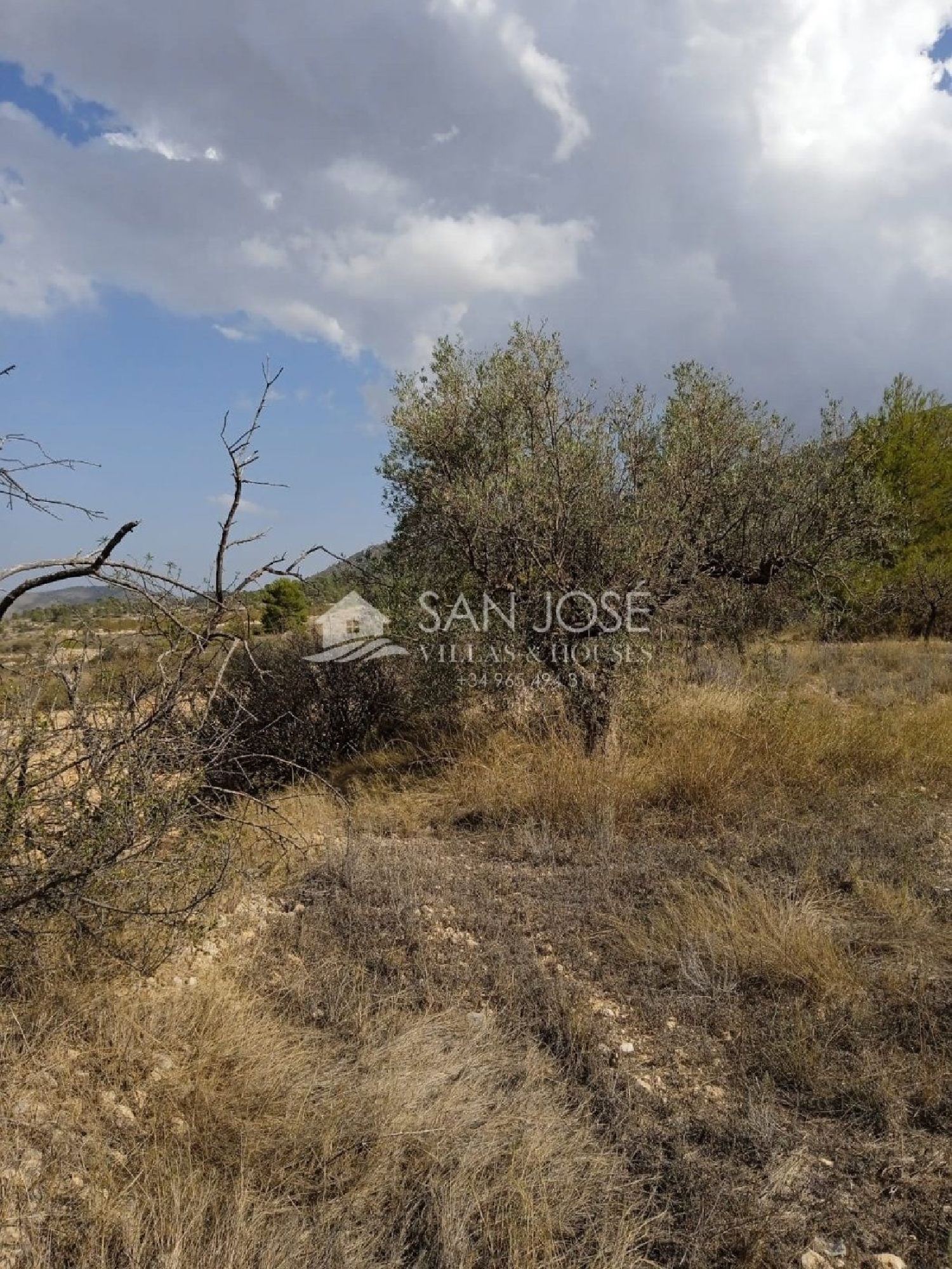  till salu hus La Romana Vinalopó Mitjà 5