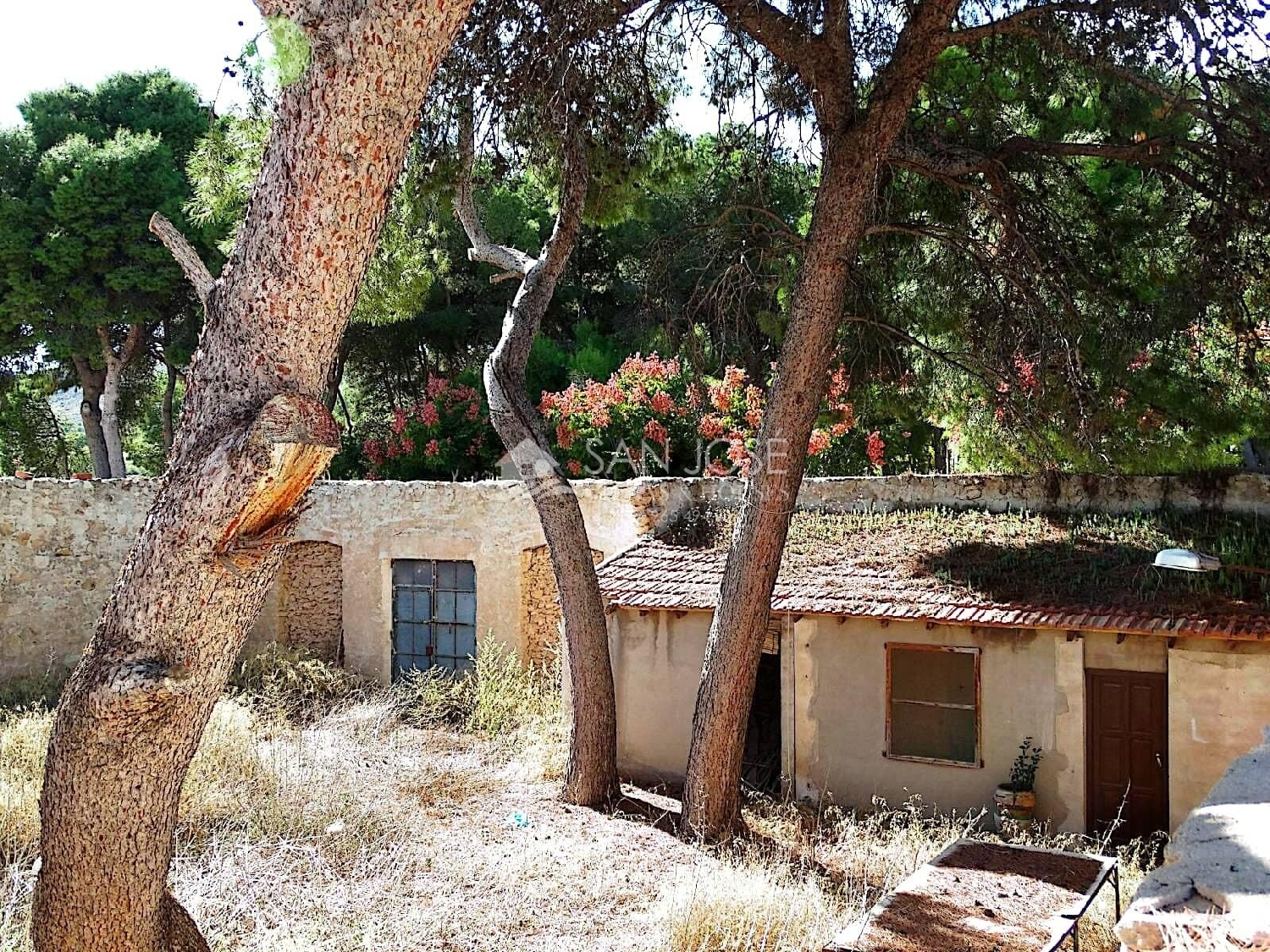  till salu hus La Romana Vinalopó Mitjà 1