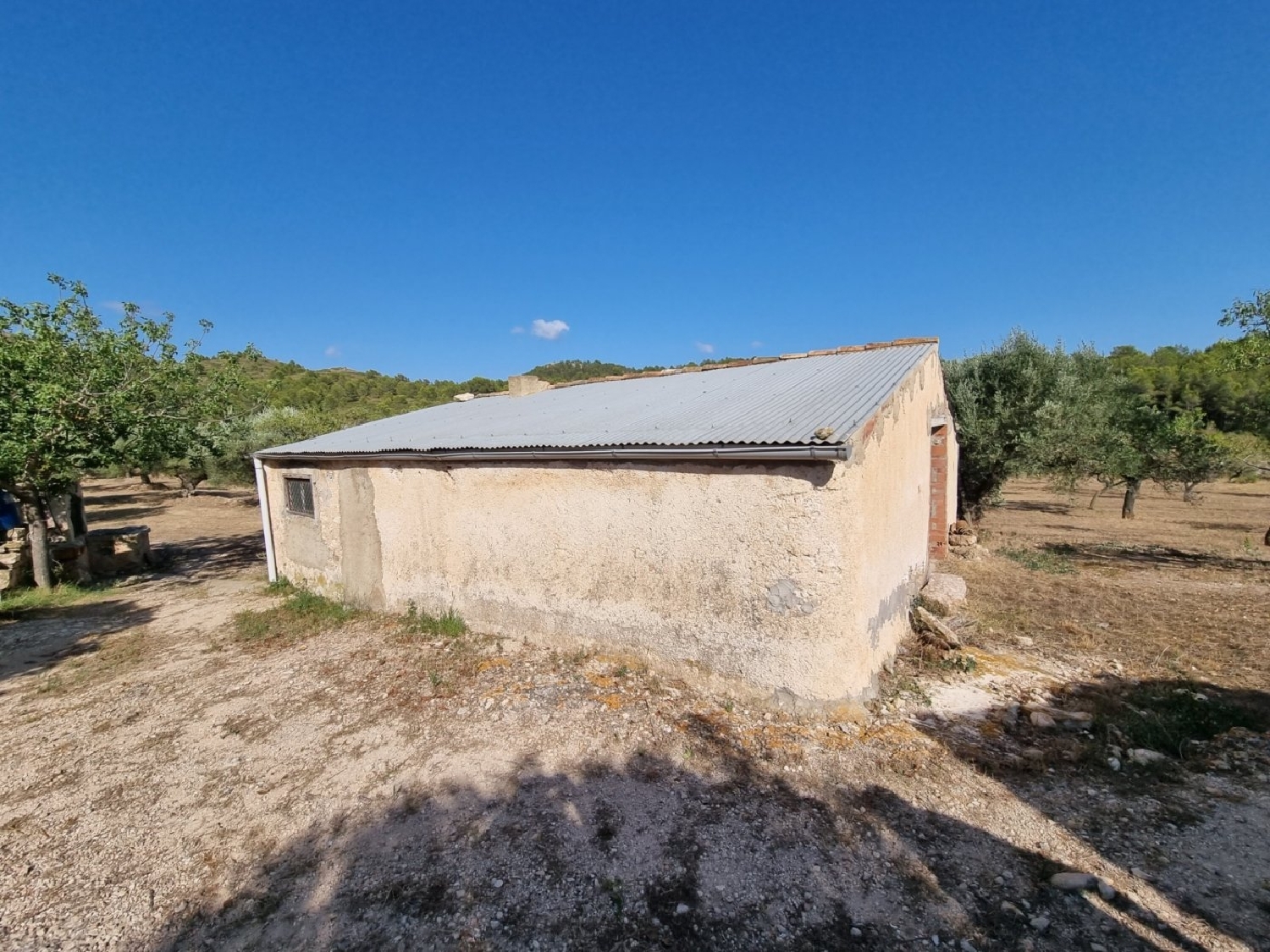 till salu hus La Serra D'almos Ribera D'ebre 3