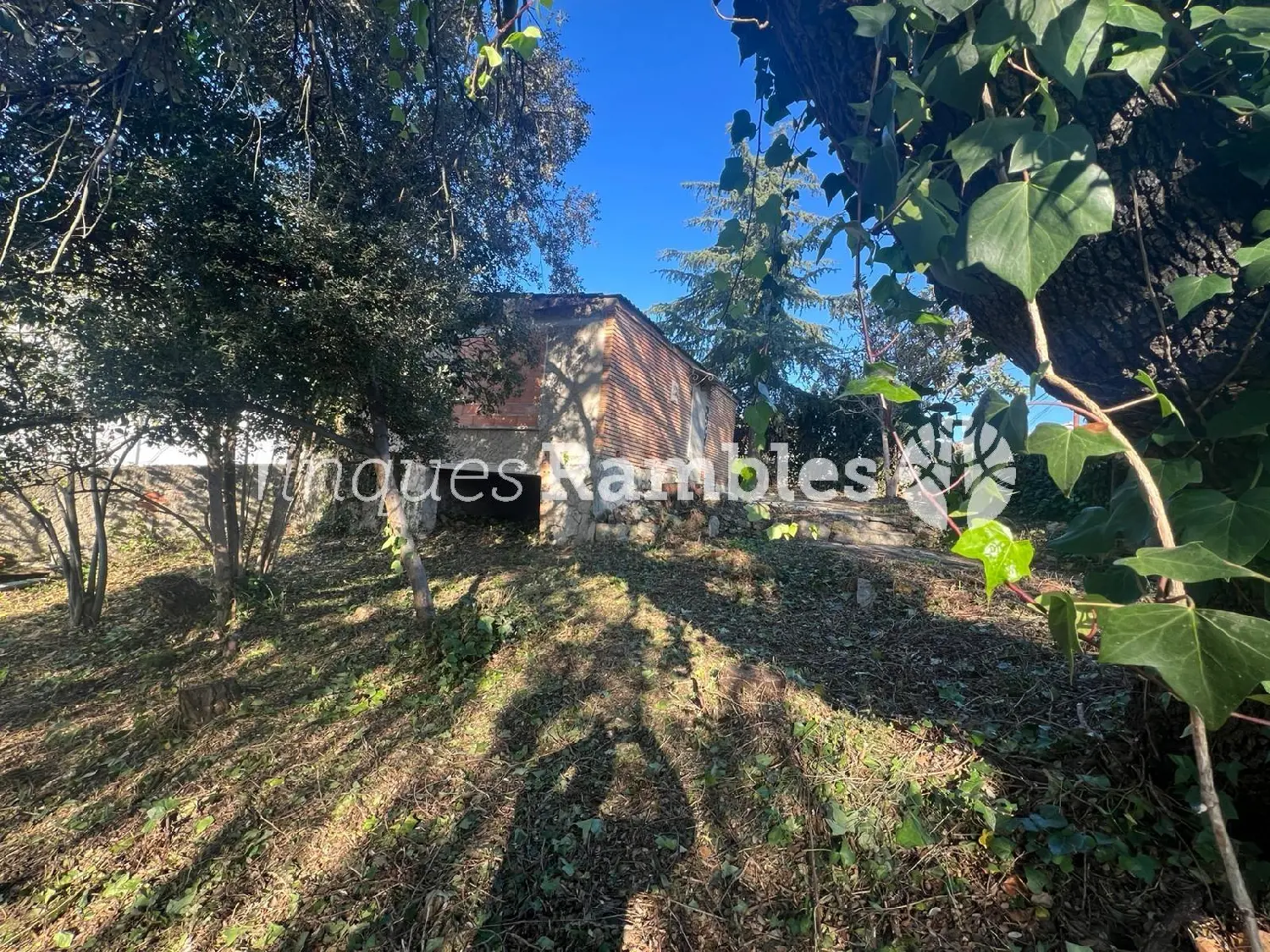  for sale house Pinedas Armengol Anoia 5