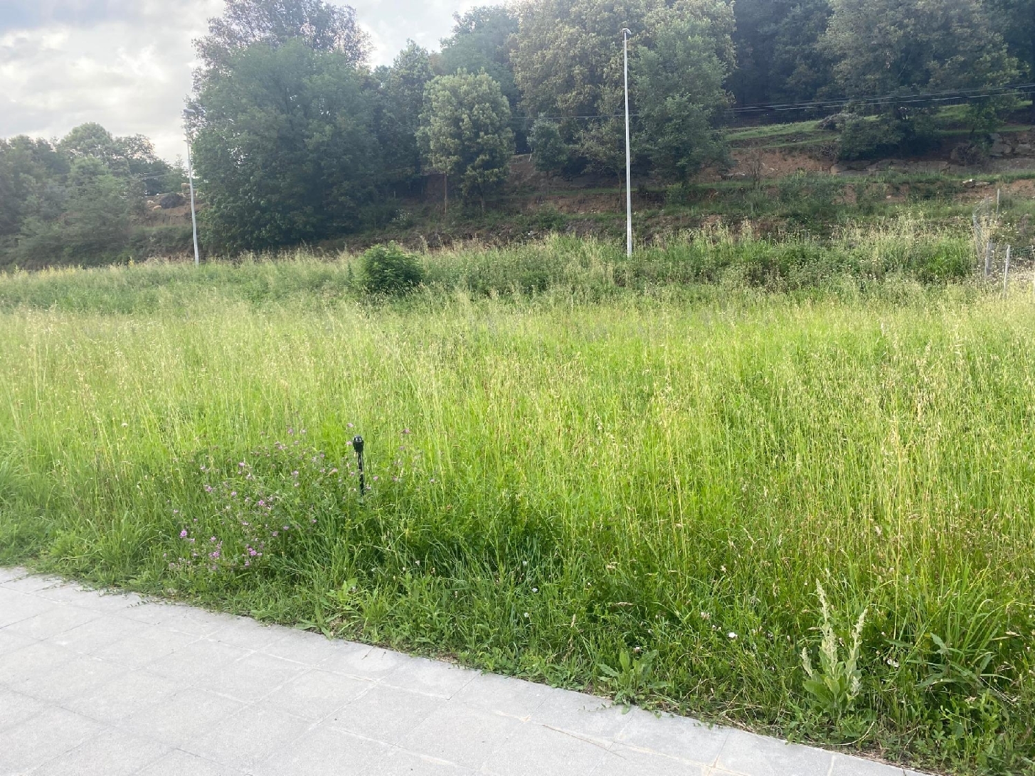  till salu hus La Torre Garrotxa 5