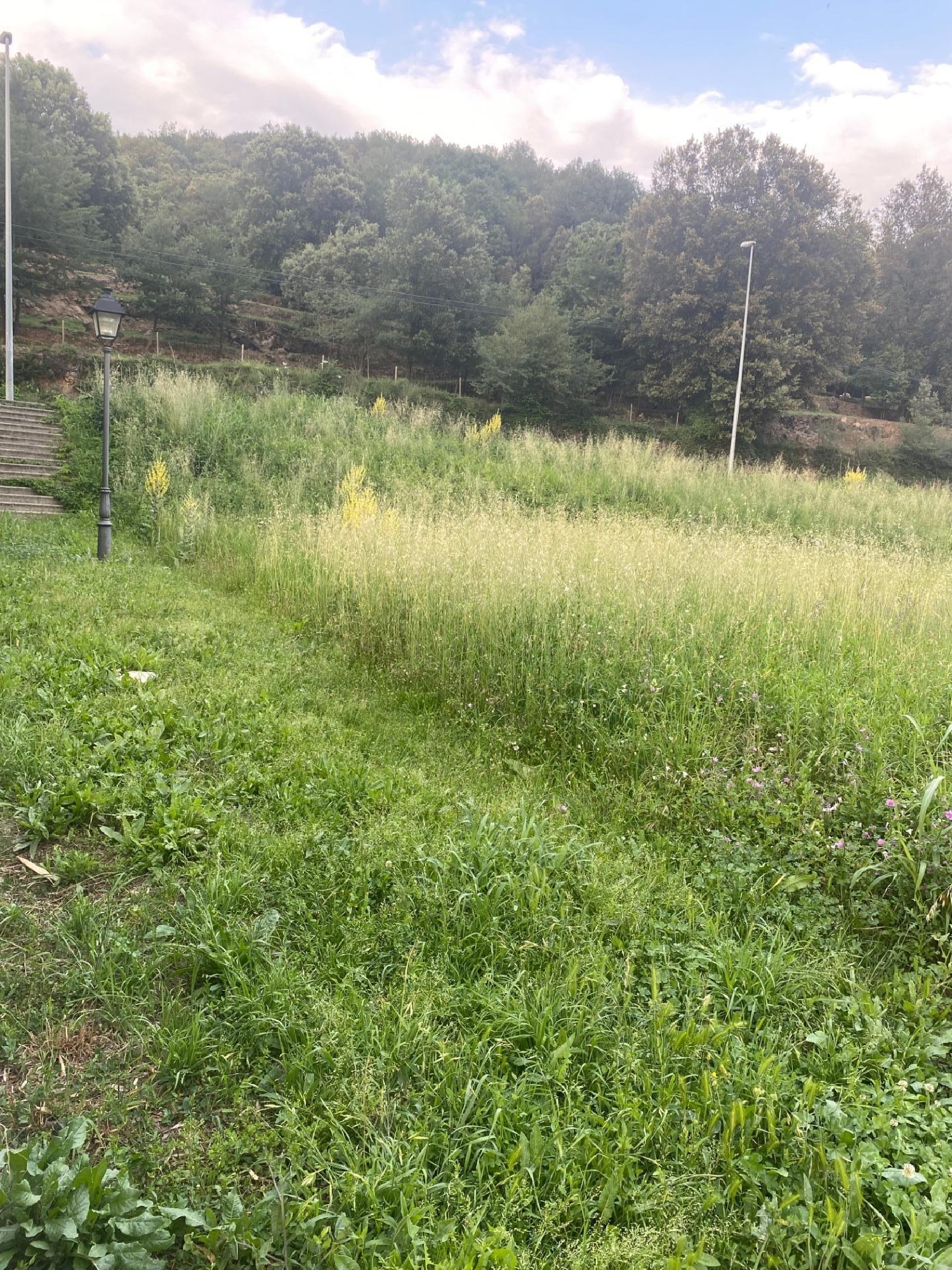  till salu hus La Torre Garrotxa 1
