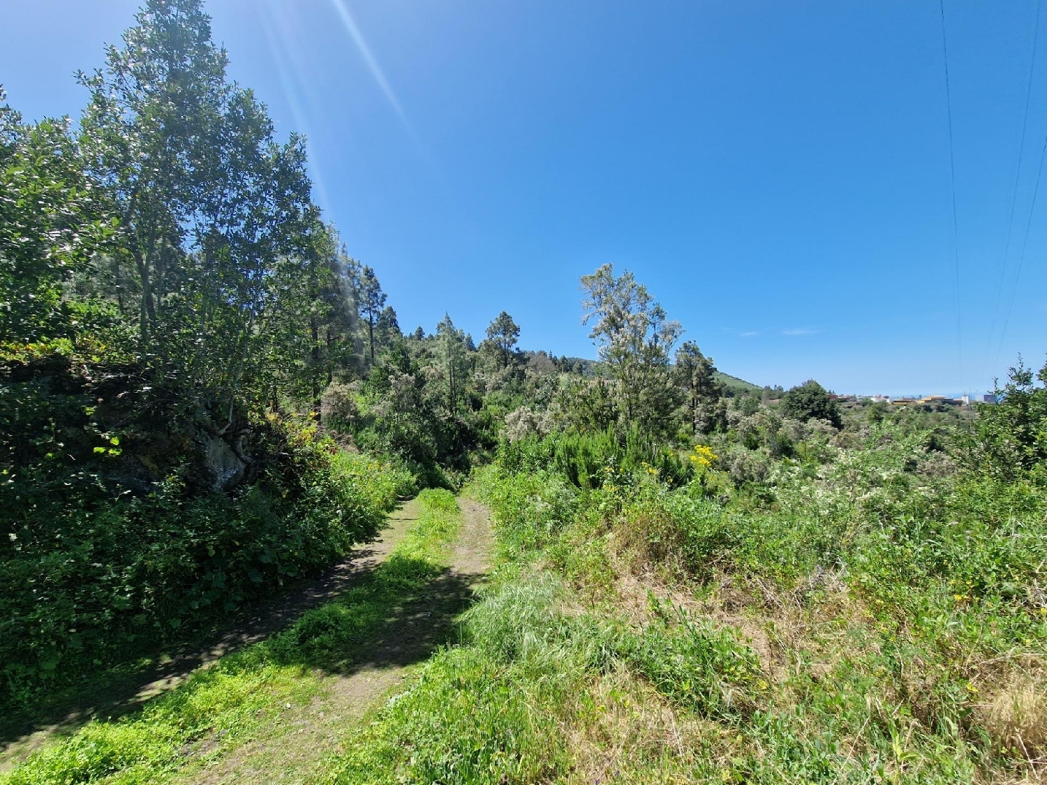  en venta casa La Vega Zona Norte 5