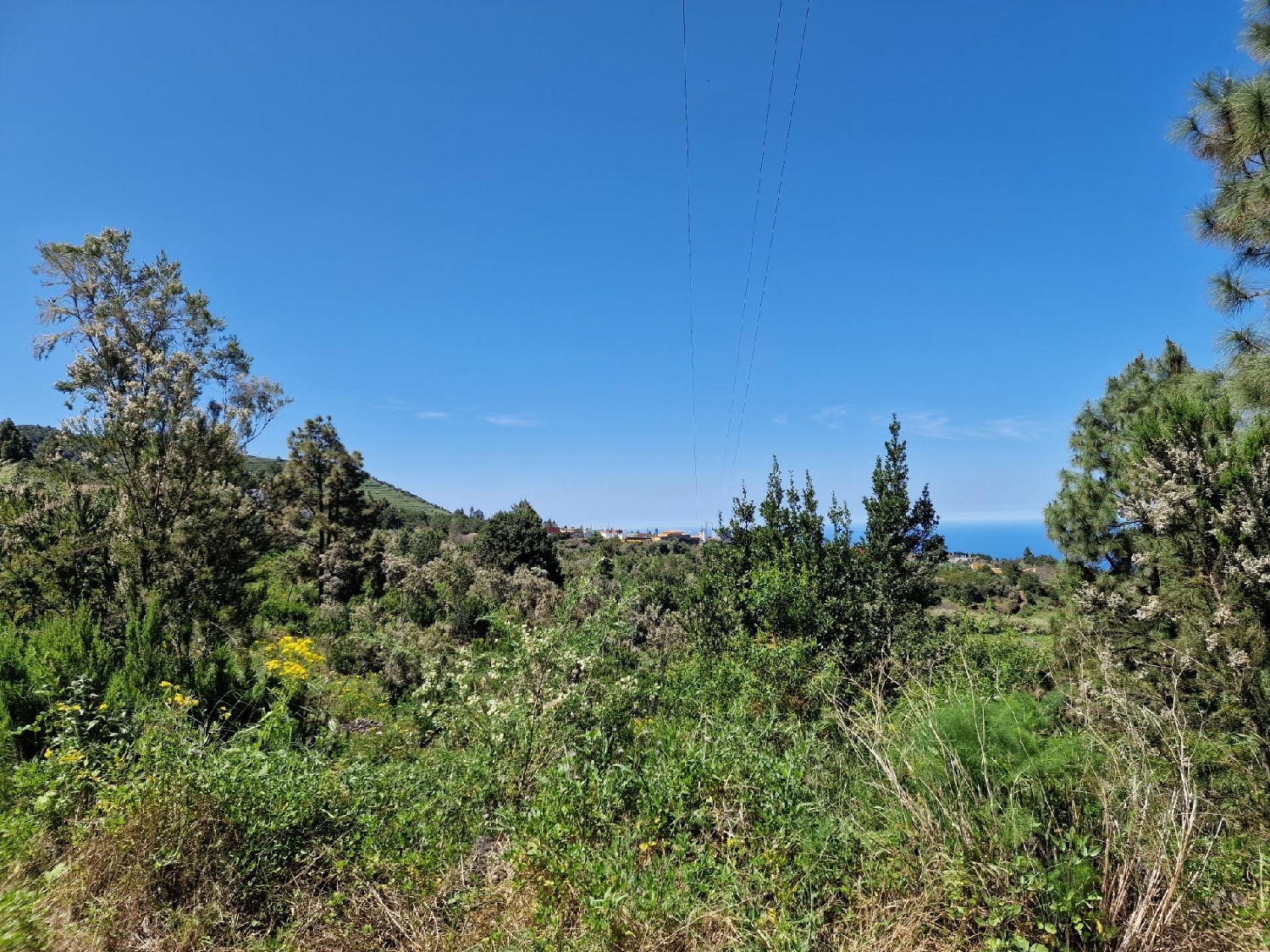  en venta casa La Vega Zona Norte 6