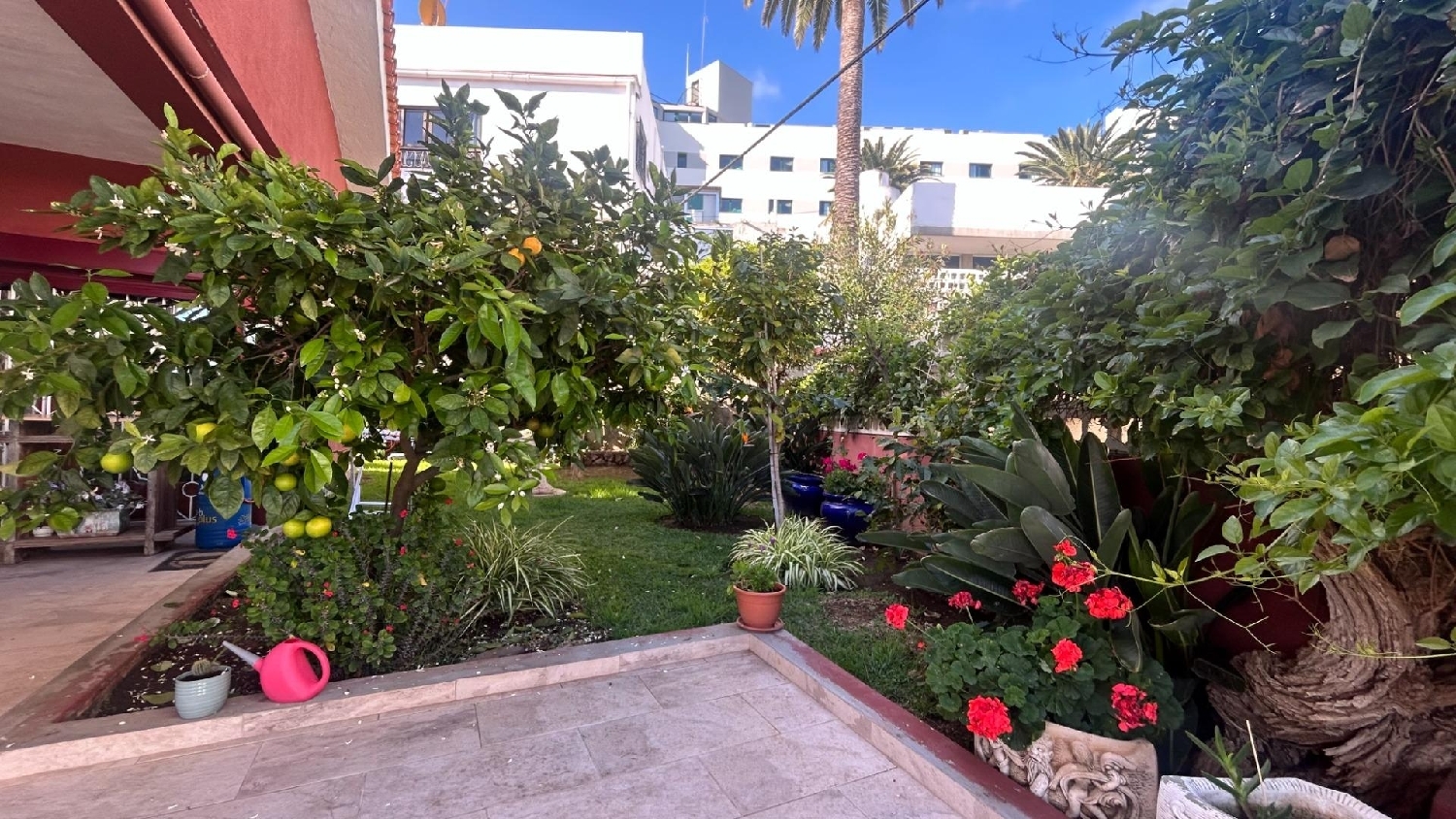 till salu hus San Nicolás Zona Norte 5