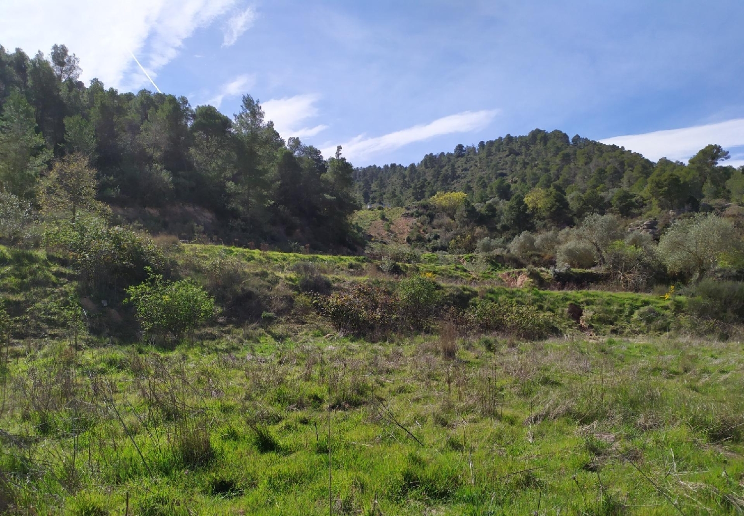  till salu hus L'albi Garrigues 7