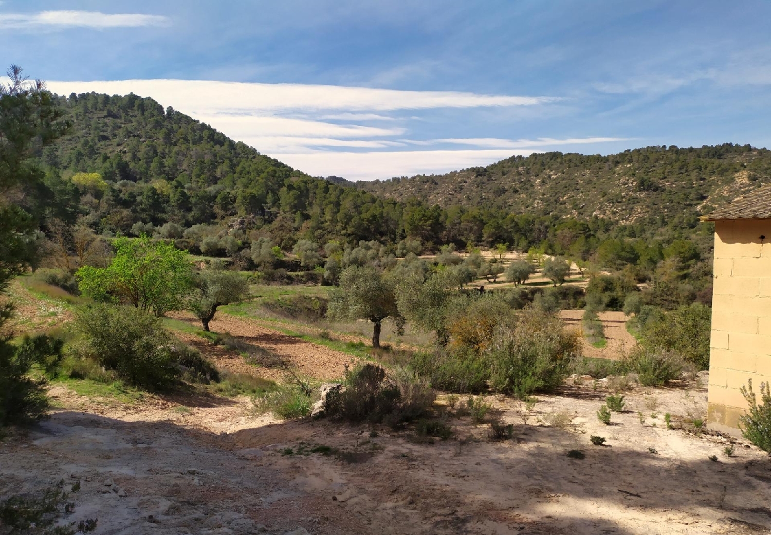  till salu hus L'albi Garrigues 4