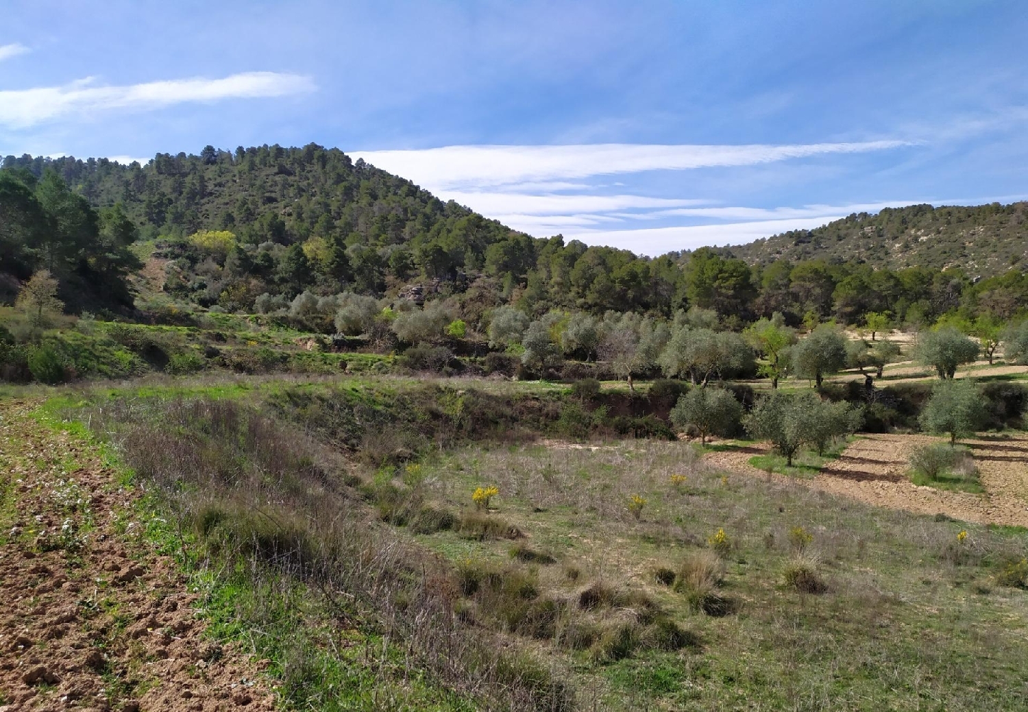 till salu hus L'albi Garrigues 8