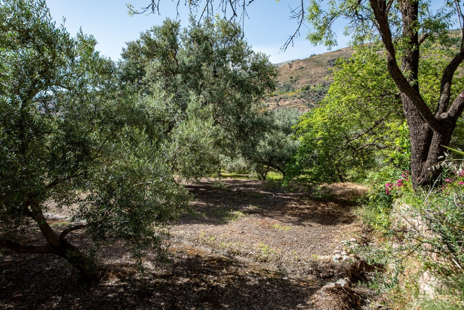  till salu hus Lanjarón Alpujarra Granadina 6