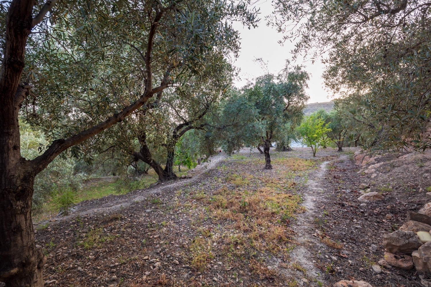 te koop huis Lanjarón Alpujarra Granadina 1