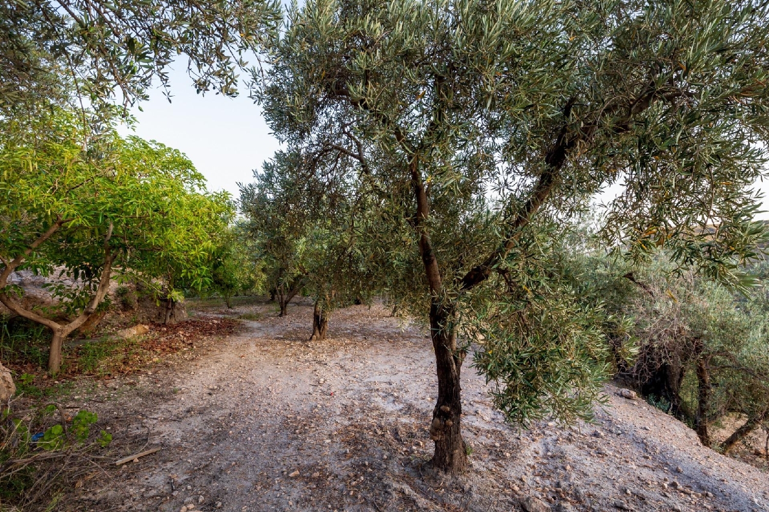  te koop huis Lanjarón Alpujarra Granadina 8