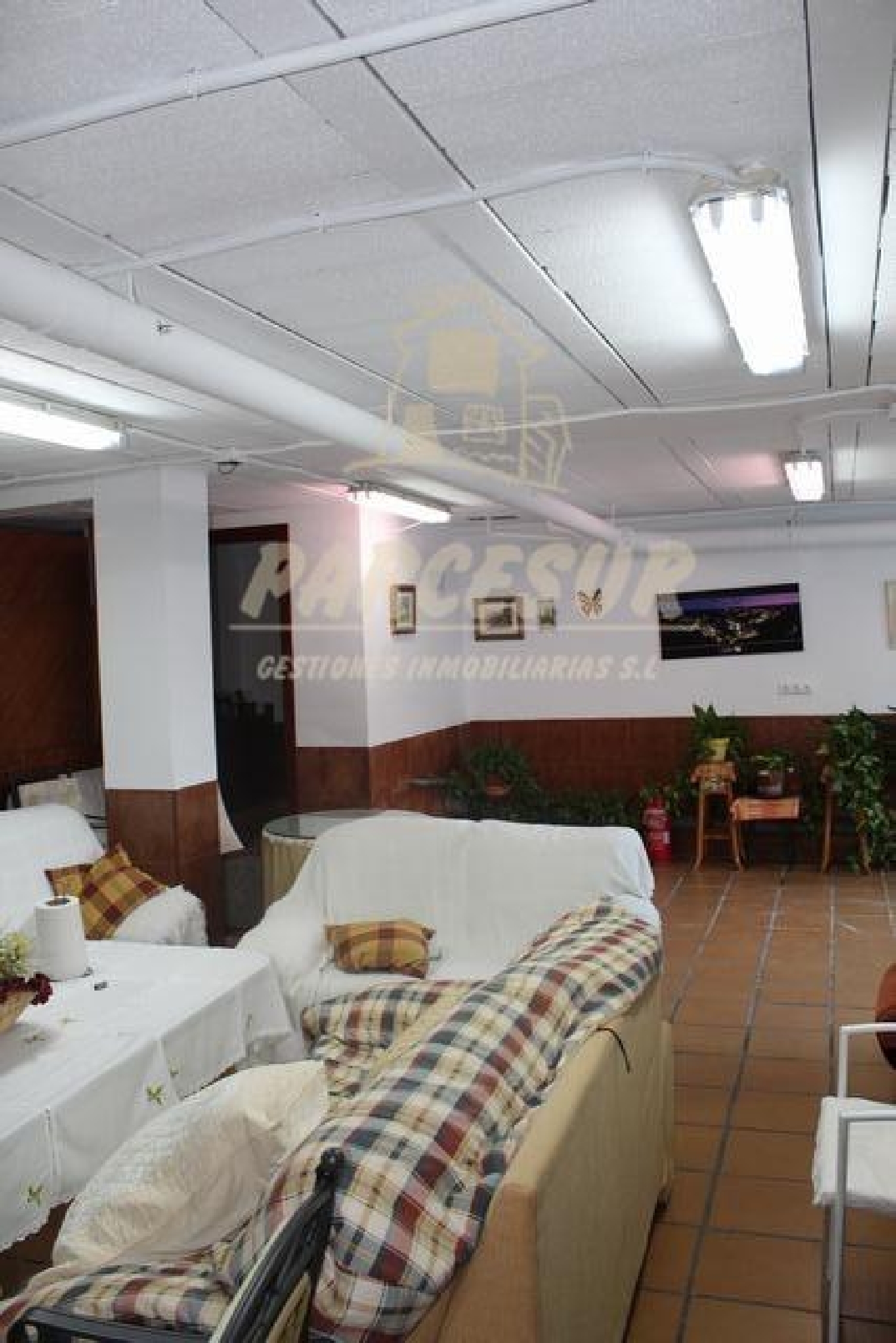  till salu hus Las Jaras Córdoba 8