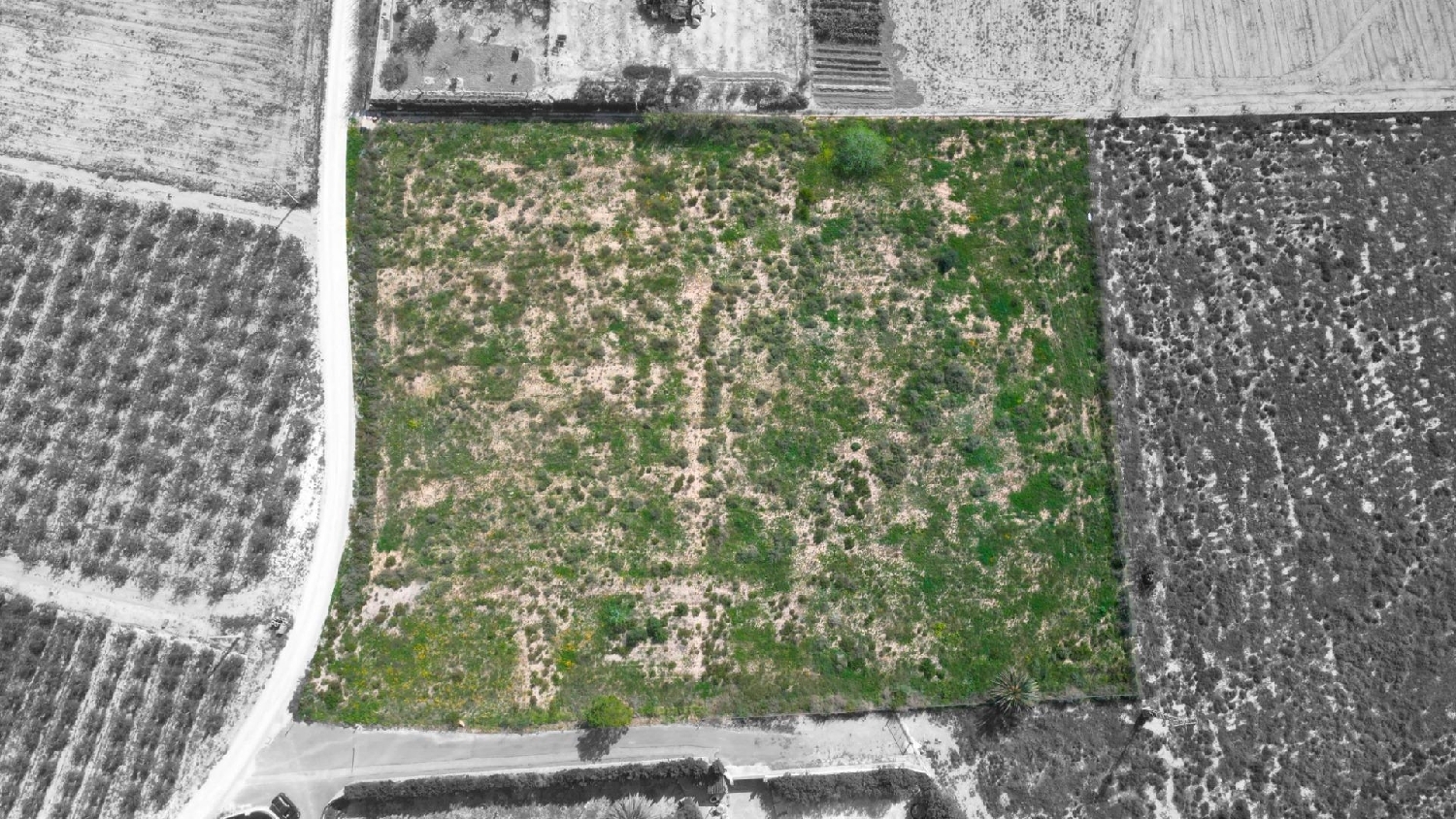  till salu hus Las Lomas Baix Vinalopó 5