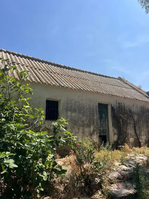 La Muela Janda (La) hus foto 6189363